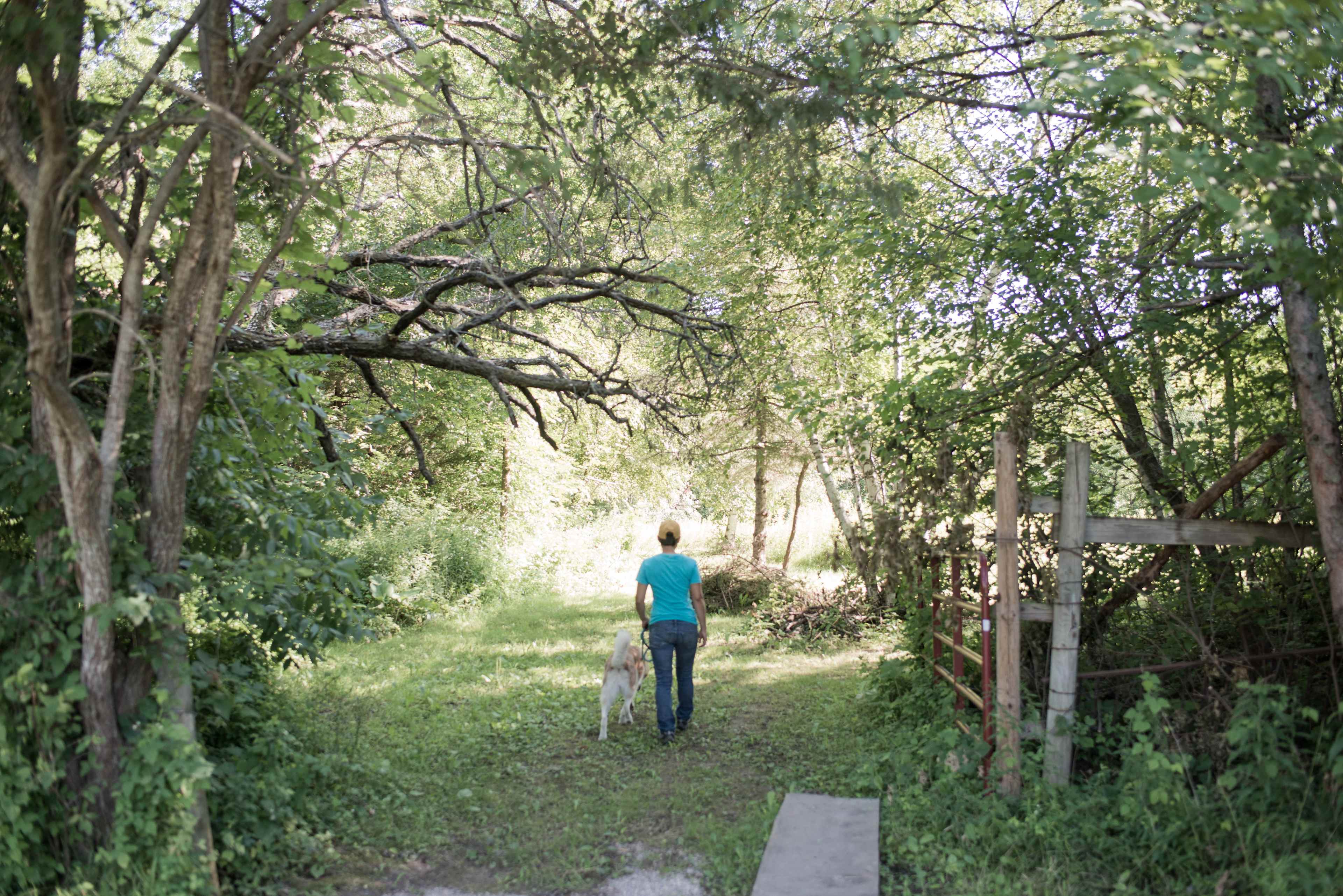 There are so many peaceful paths to hike