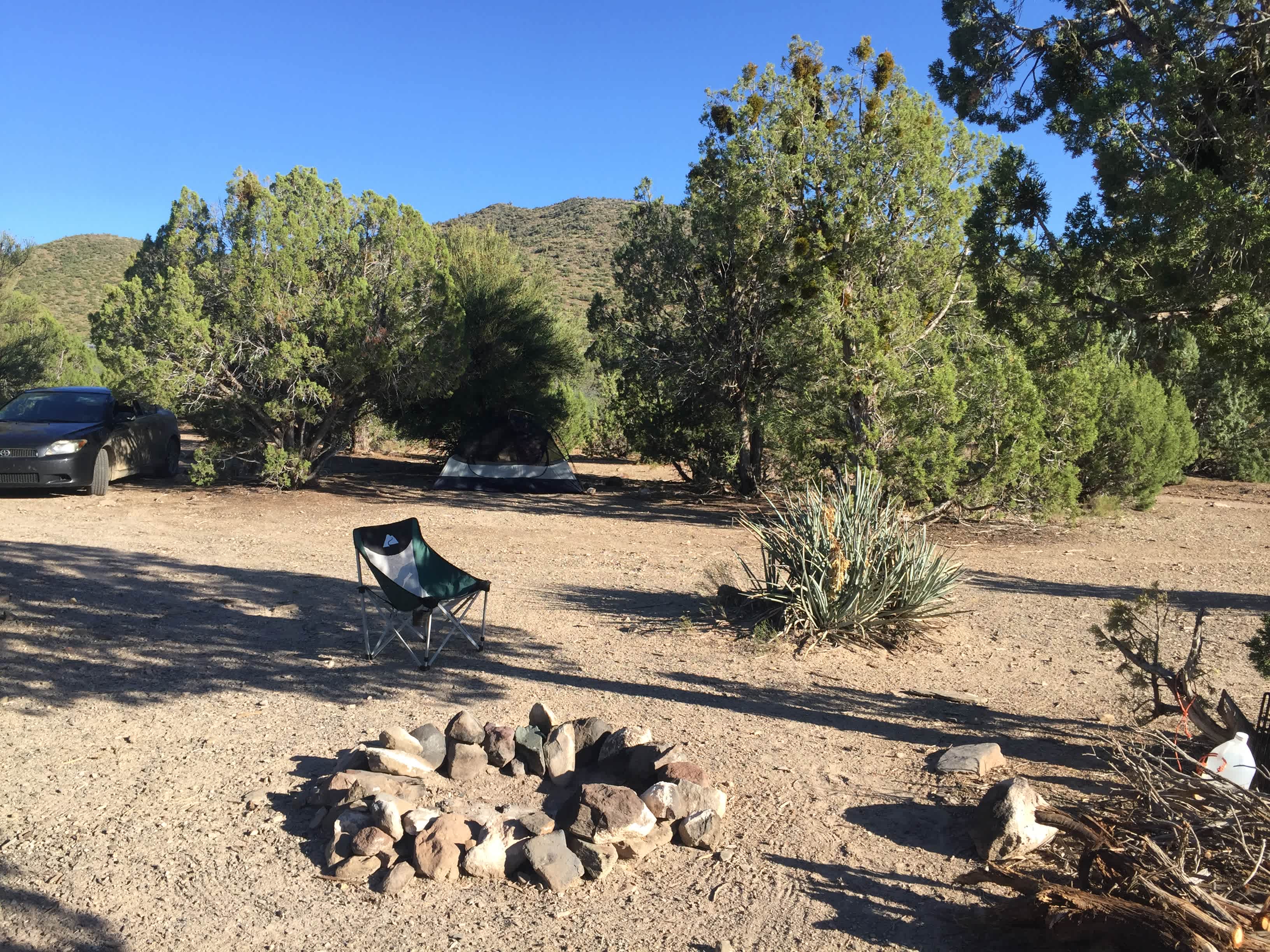 Picture of the site