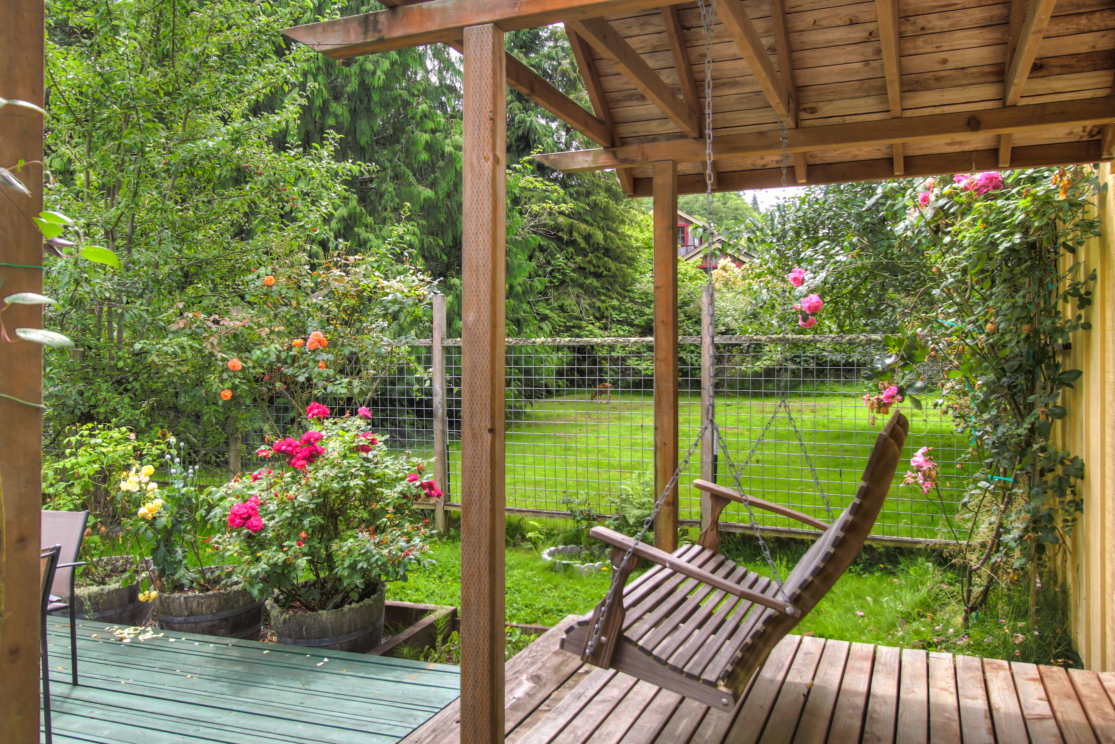 Cabernet Deck