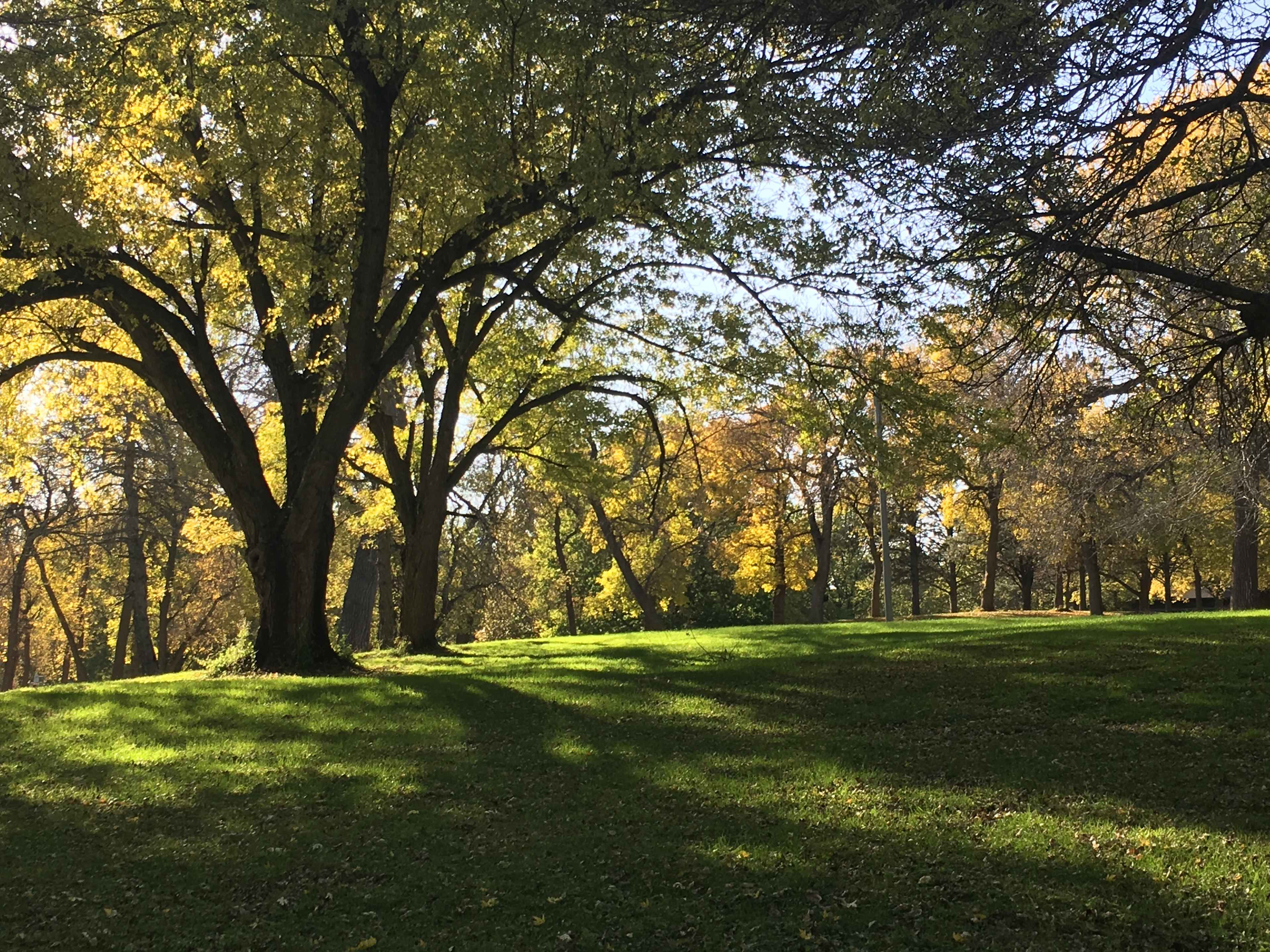110 acres of property with a variety of wildlife, plant life, and areas to enjoy. 