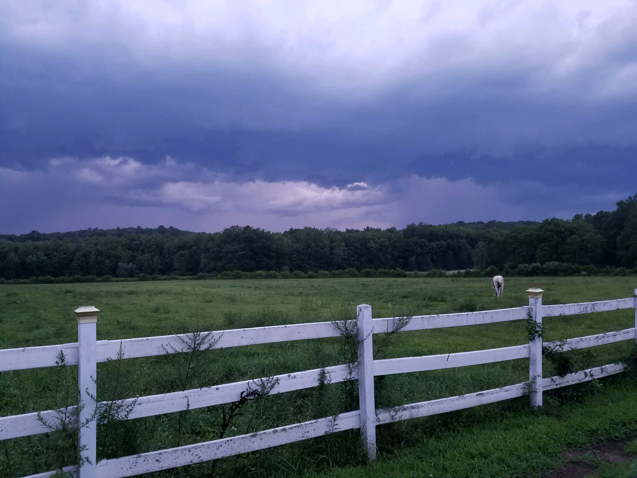 Pleasant Valley Farm