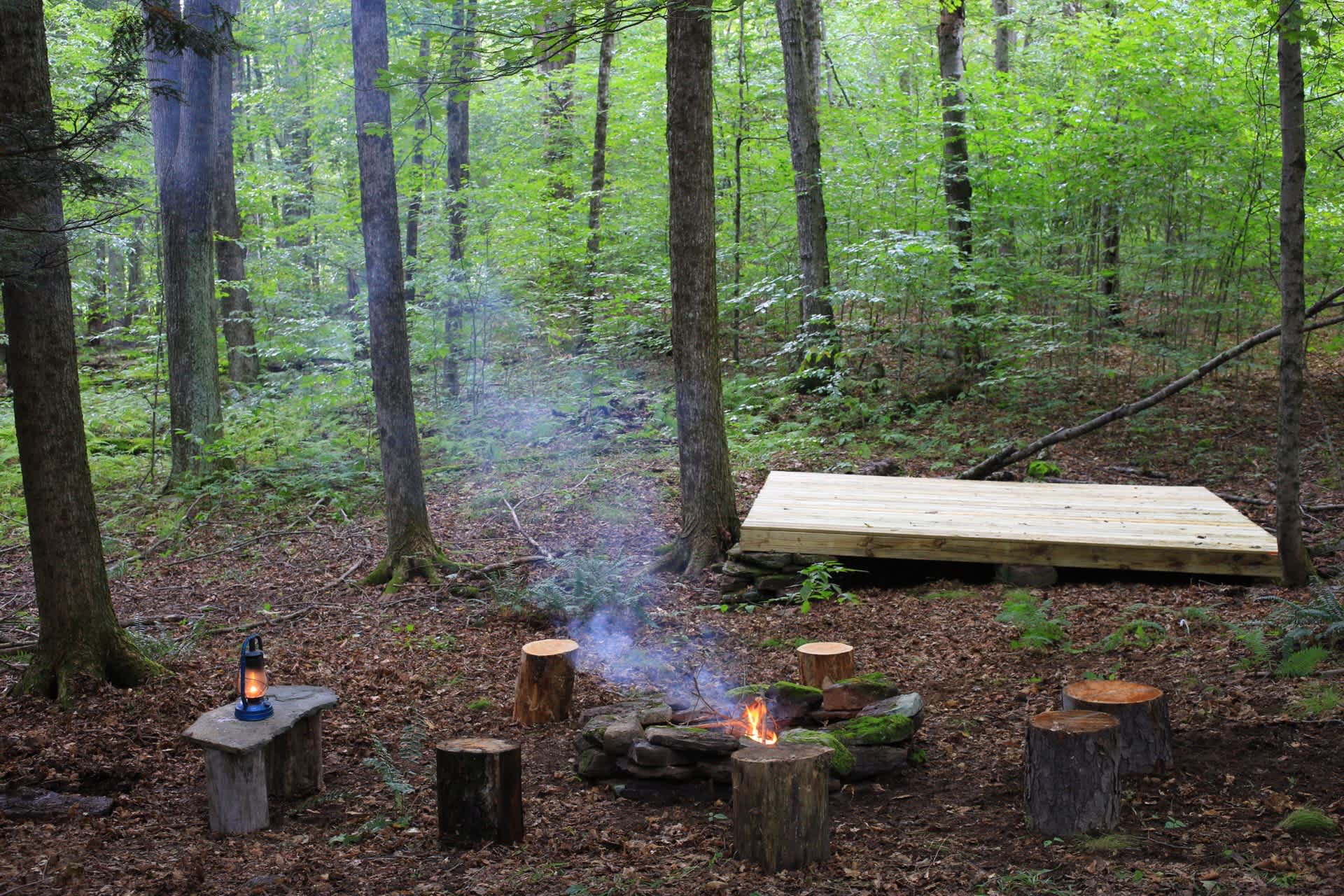 Picture of the site