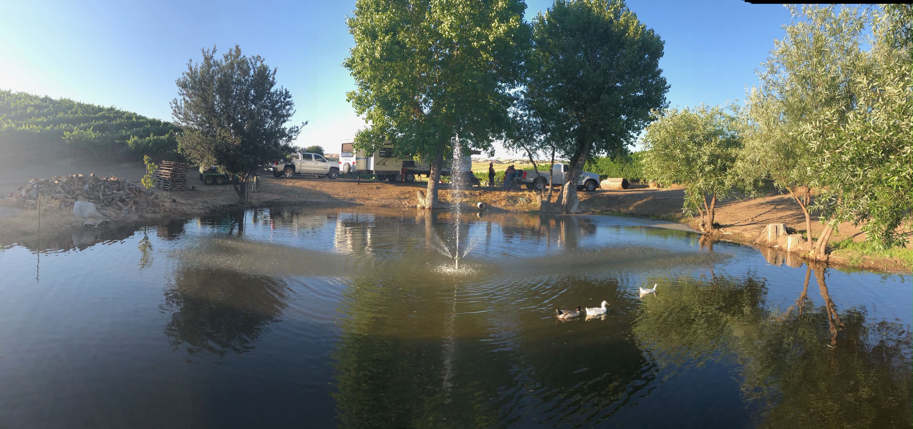 Paso Robles Camping
