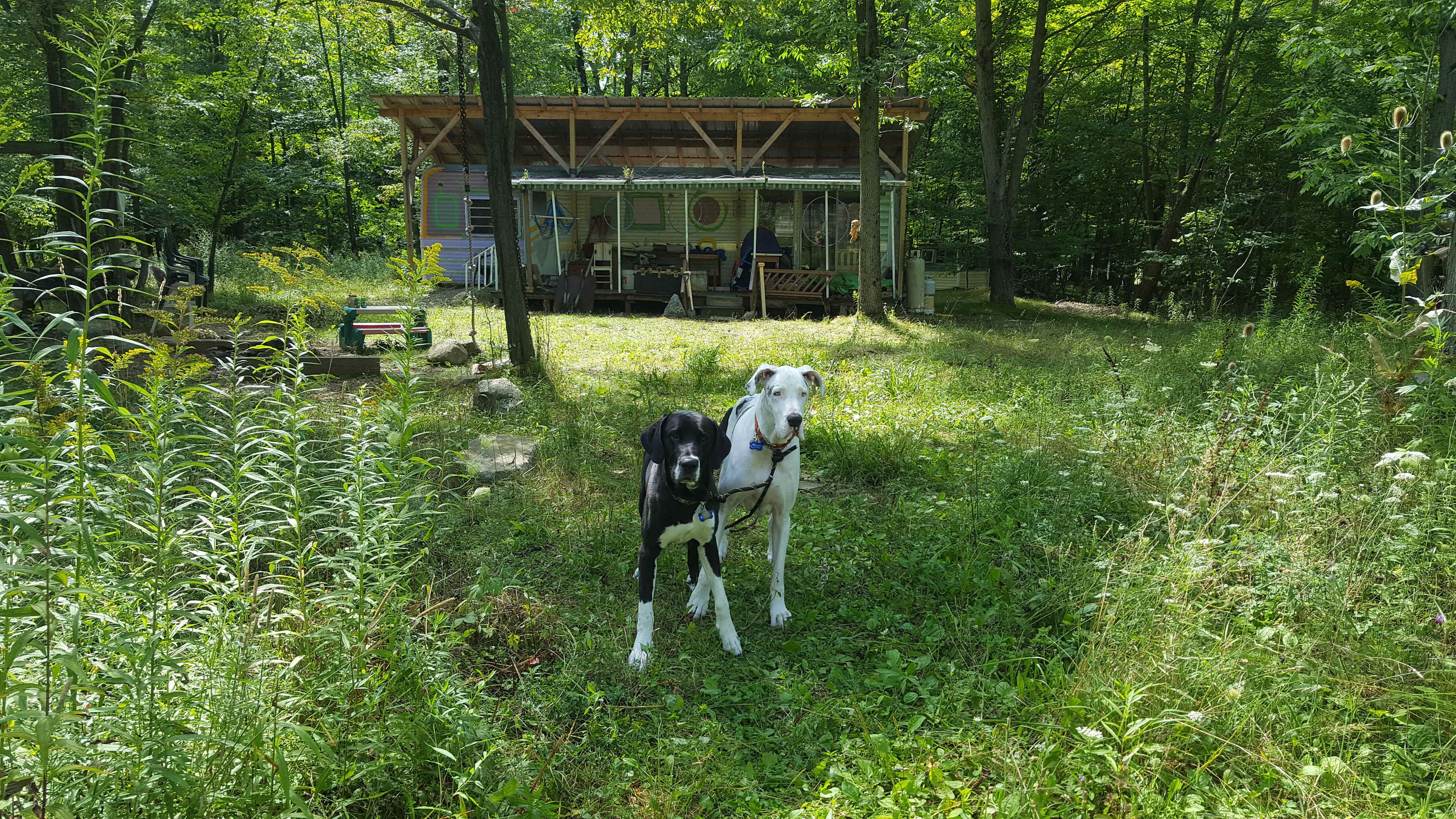 Picture of the site