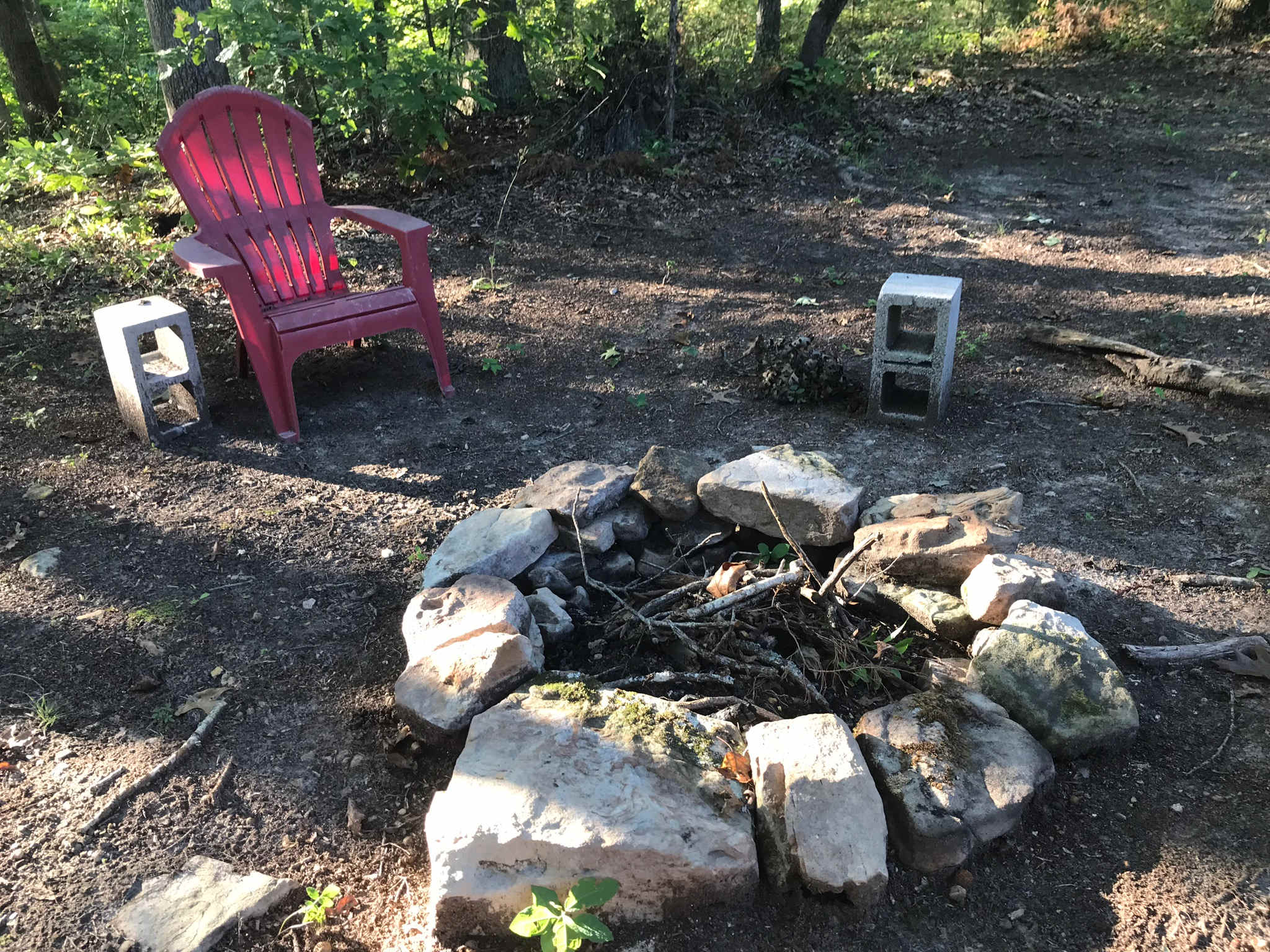 Picture of the site