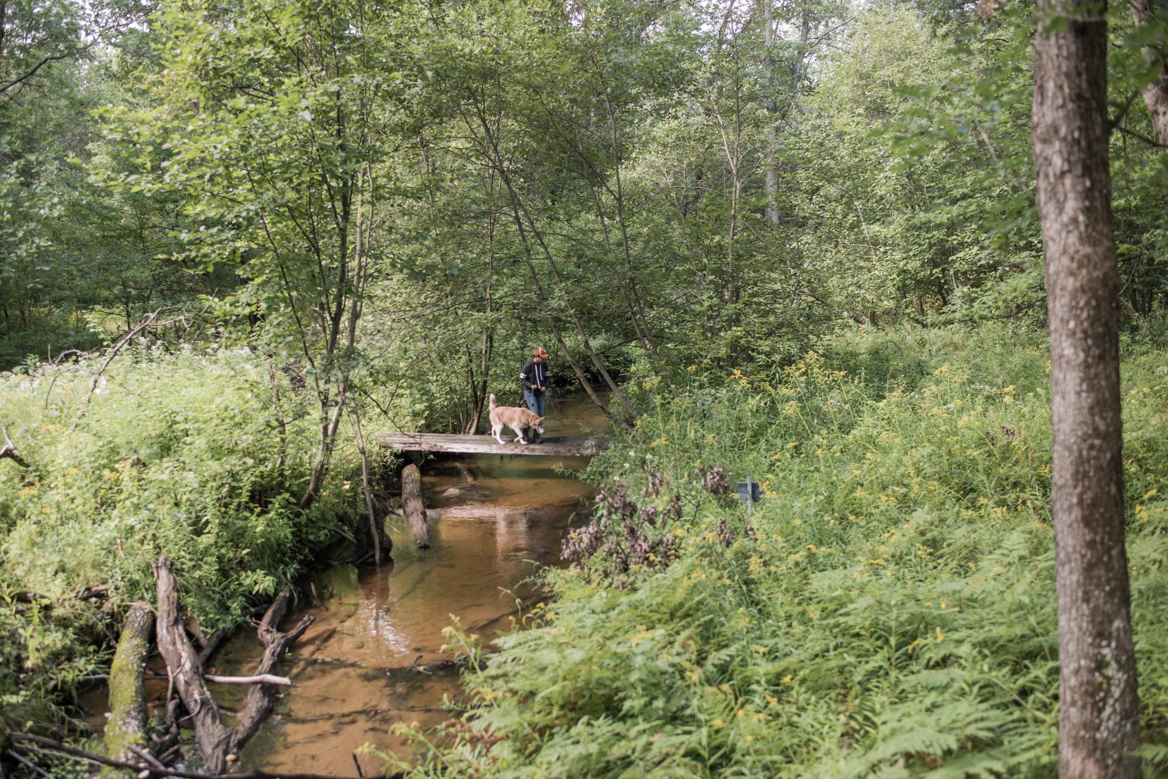 Lynx Run Wilderness Retreat