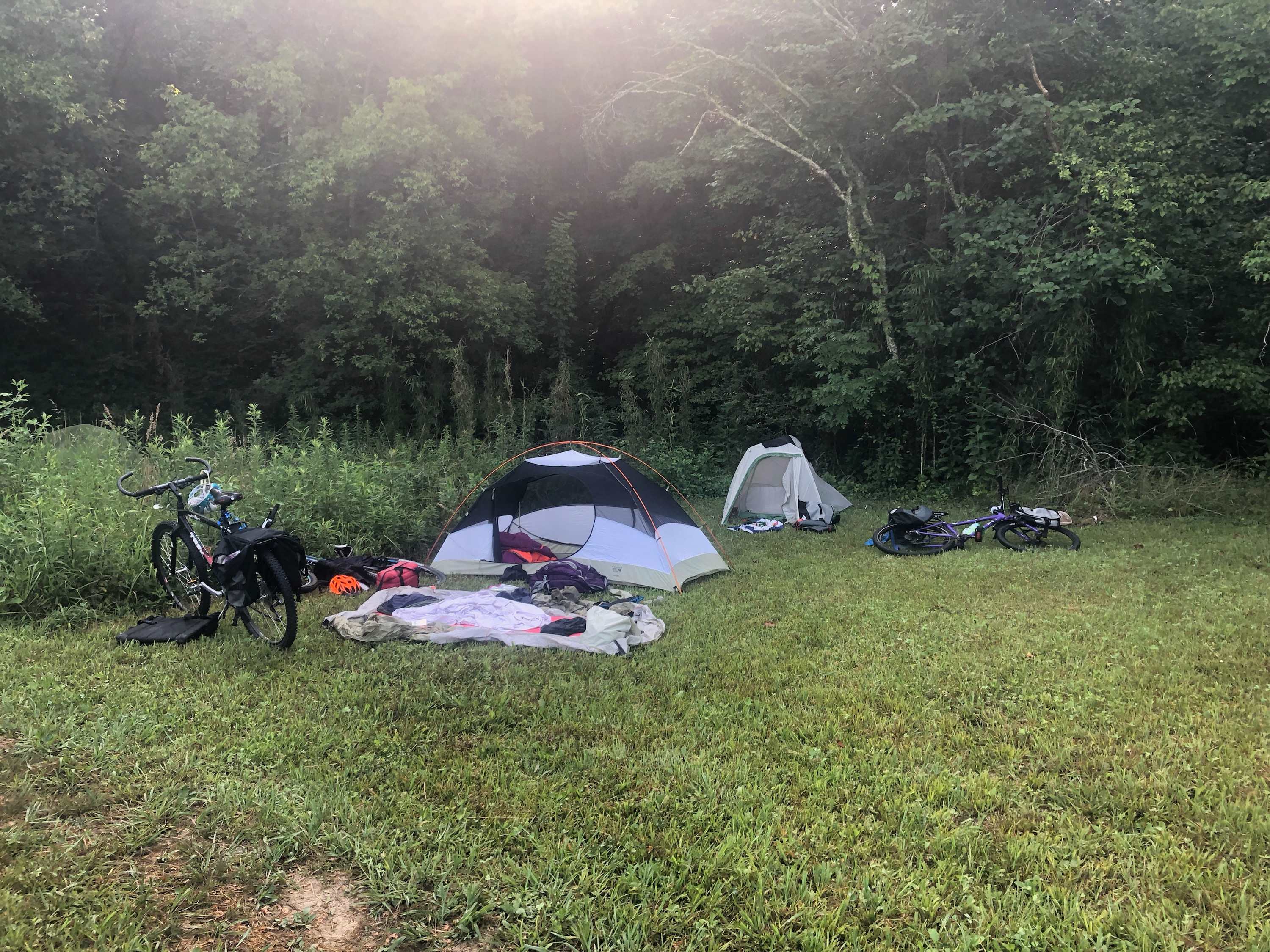 Picture of the site