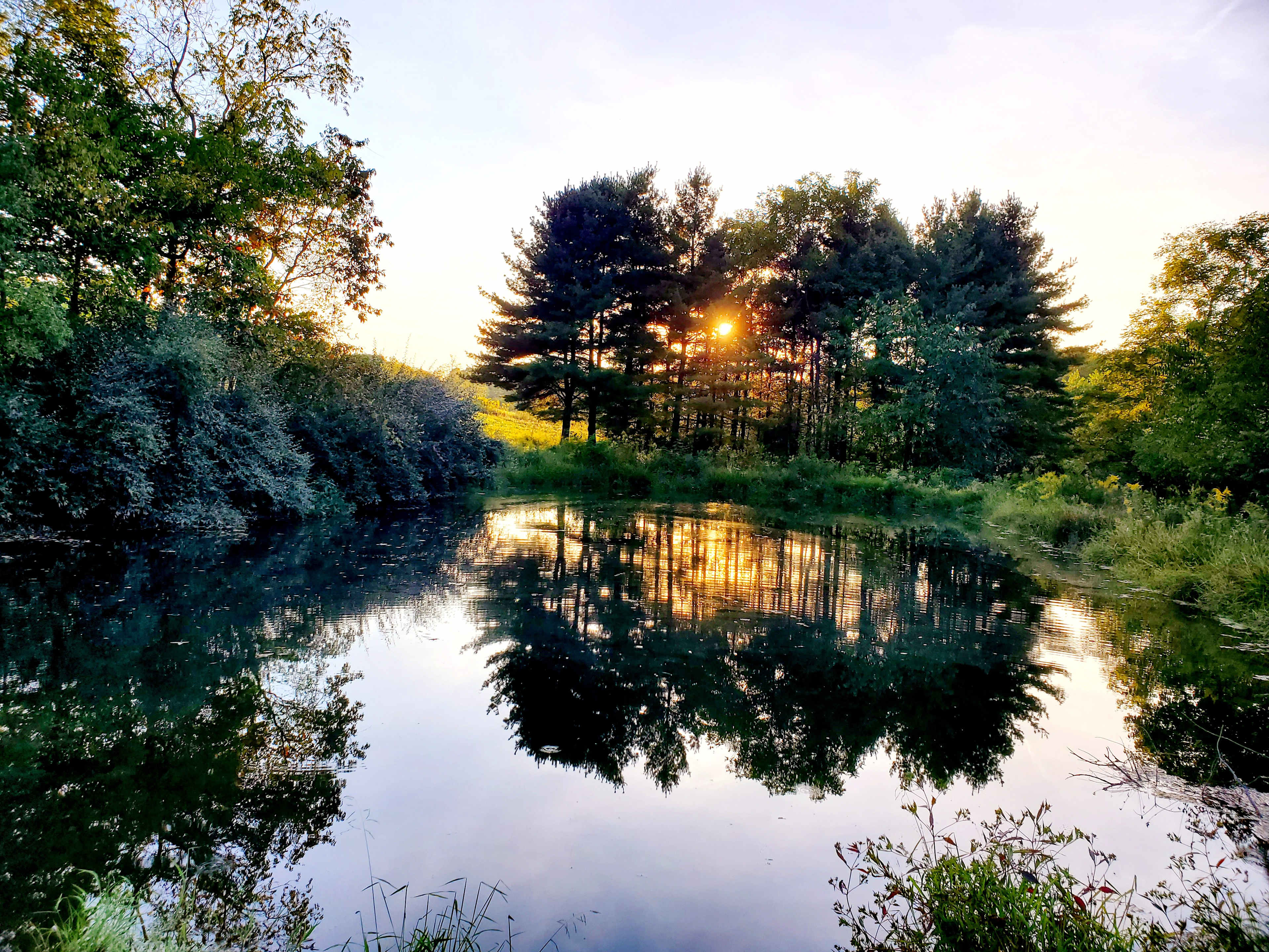 Fished filled pond!