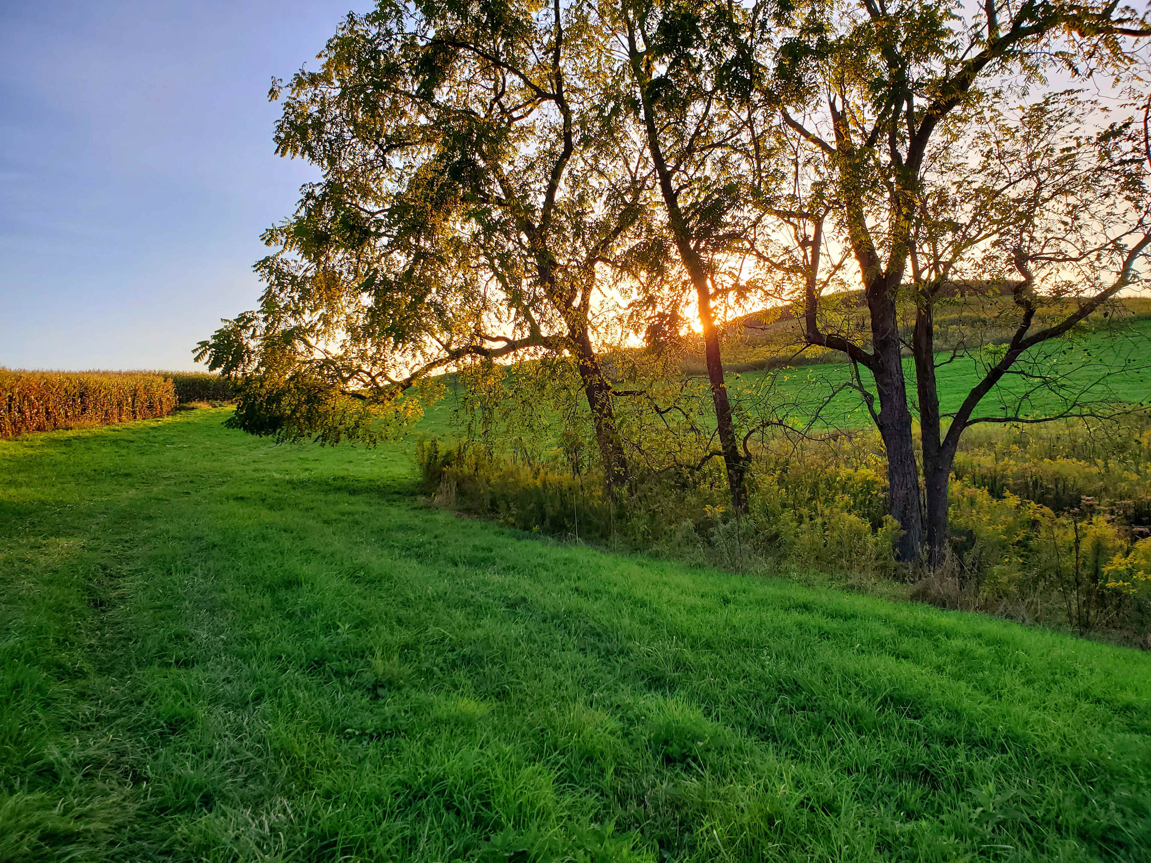 Evening view