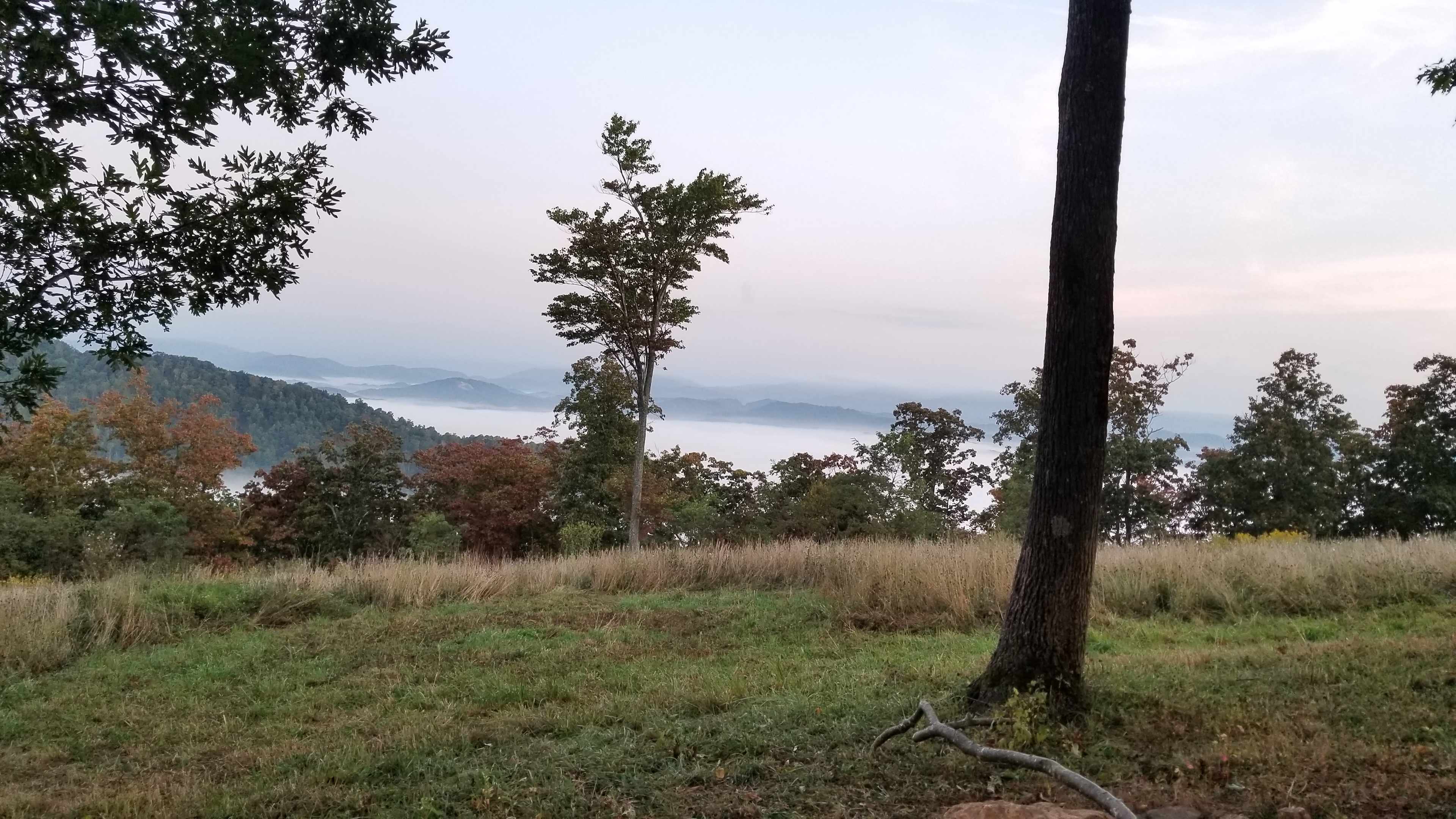 Fog in the valley below~