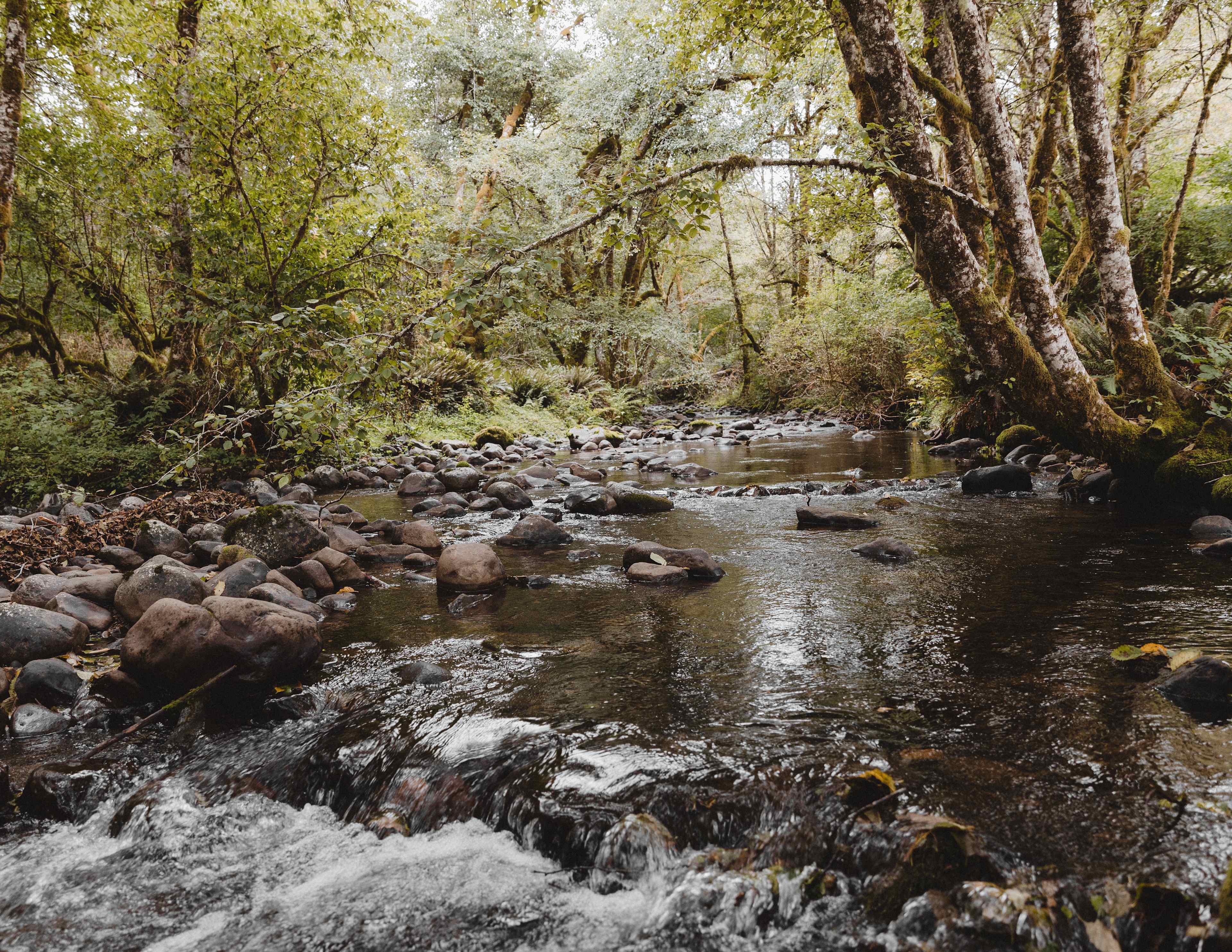 Powder Creek Campground