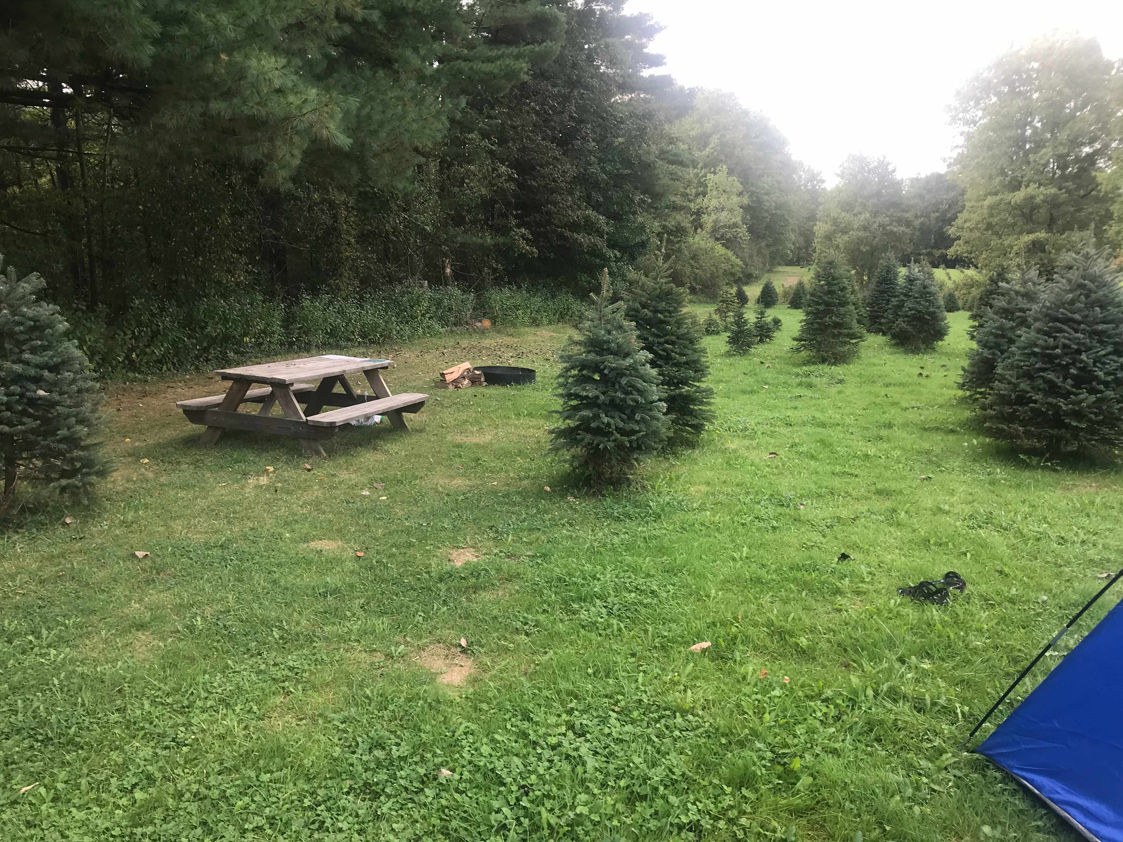 Picture of the site