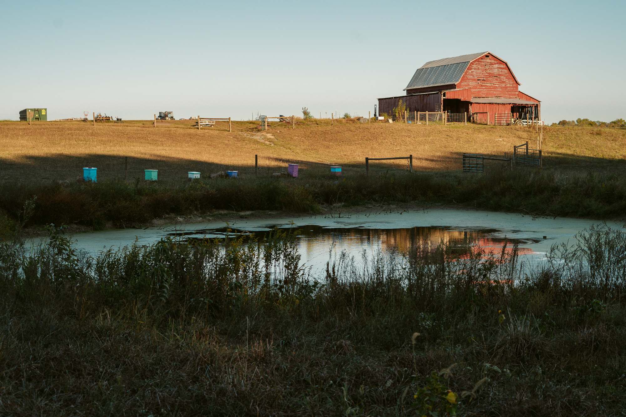 They have a second, even older barn near the animals and have recently started bee keeping. 