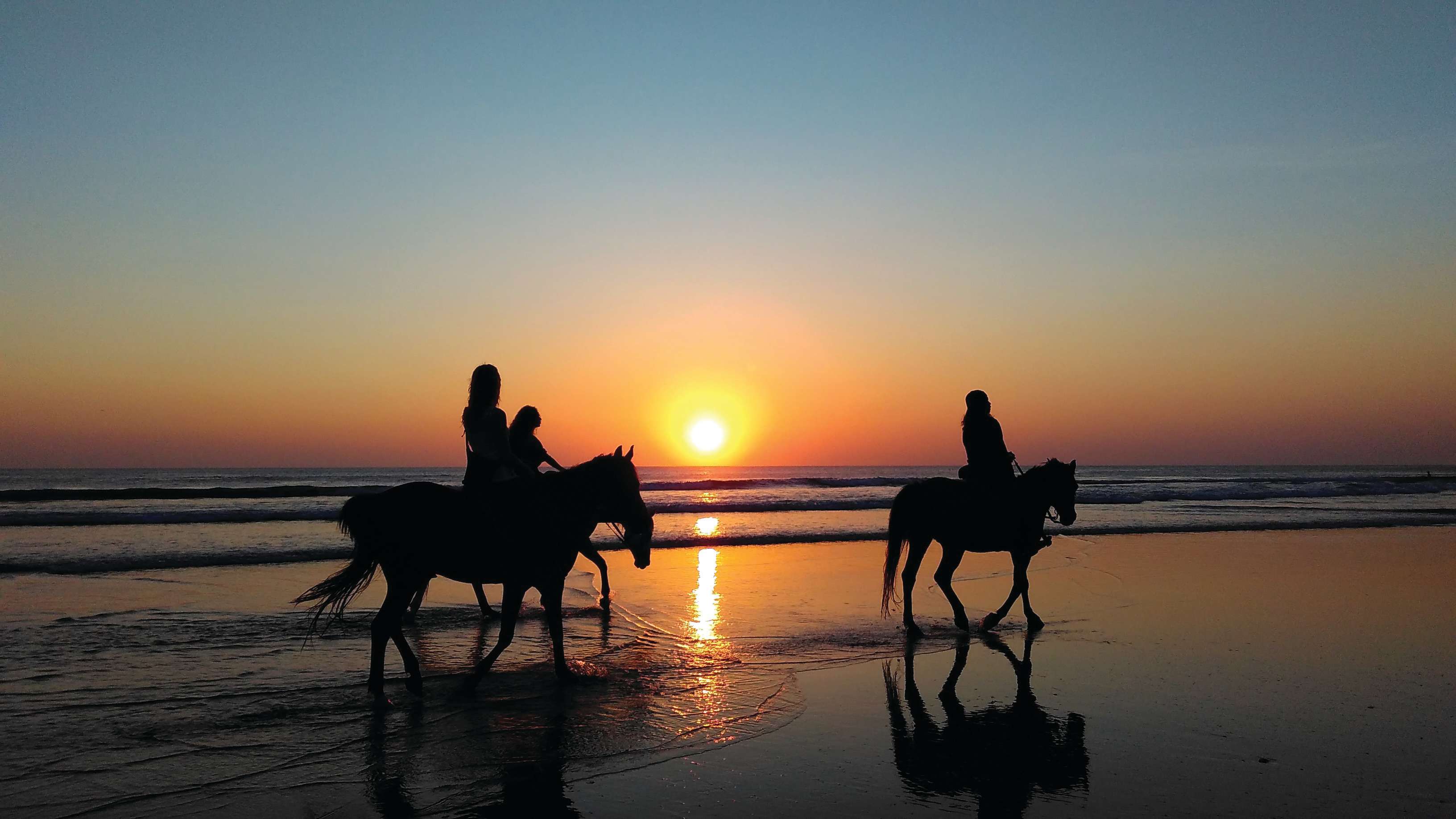 D&J Stables