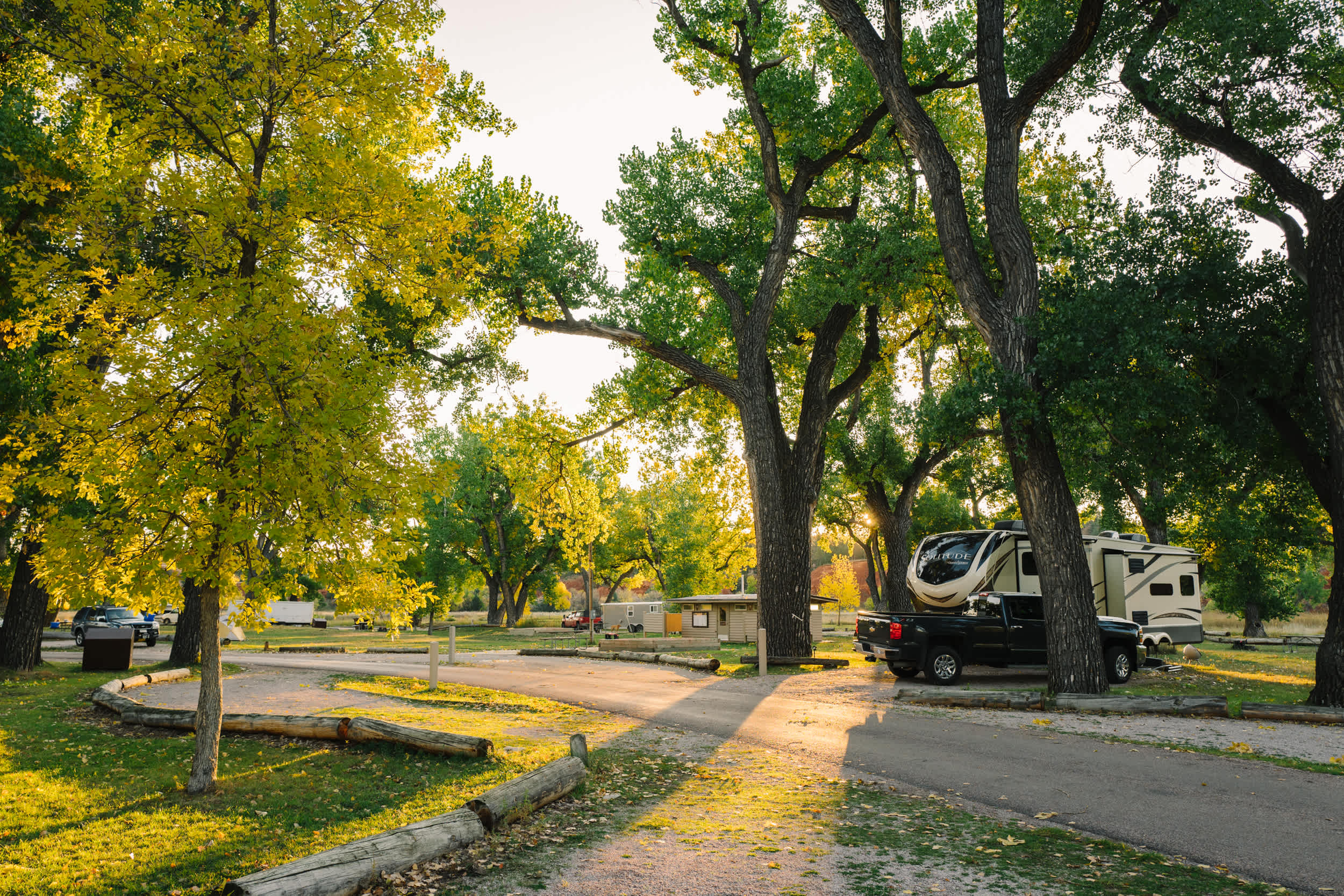 Morning light in the campground.