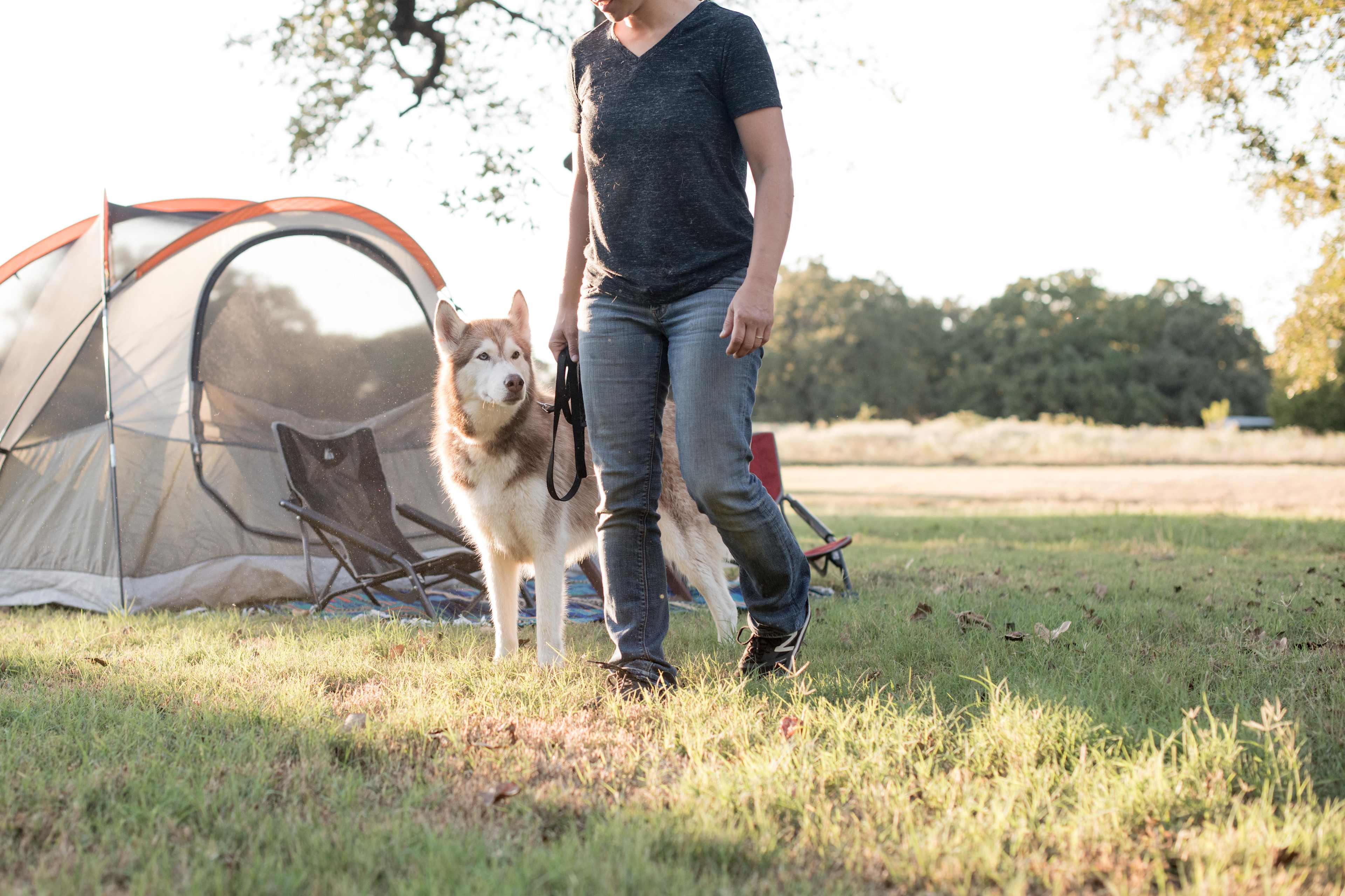 We love that the site is pet friendly!