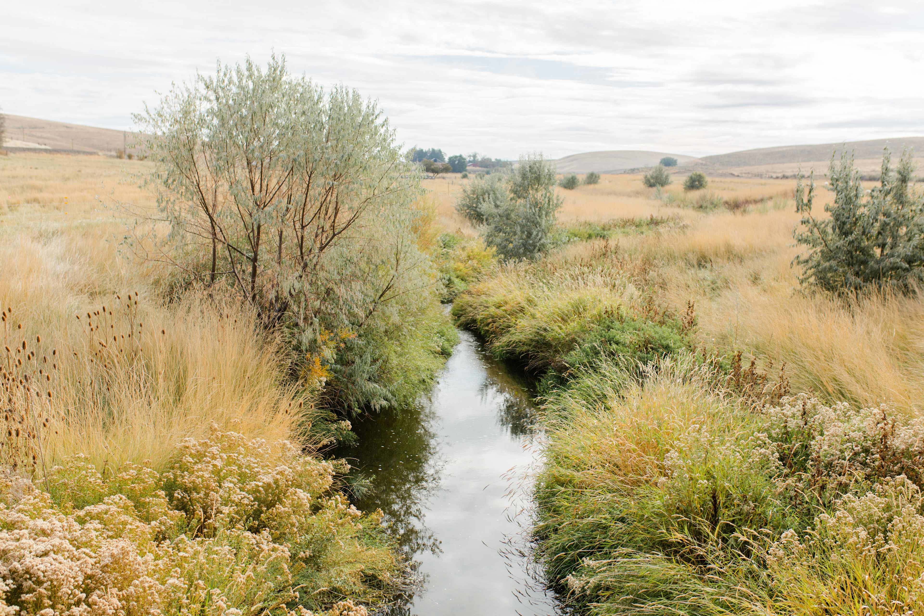 The creek that runs through the property is beautiful!