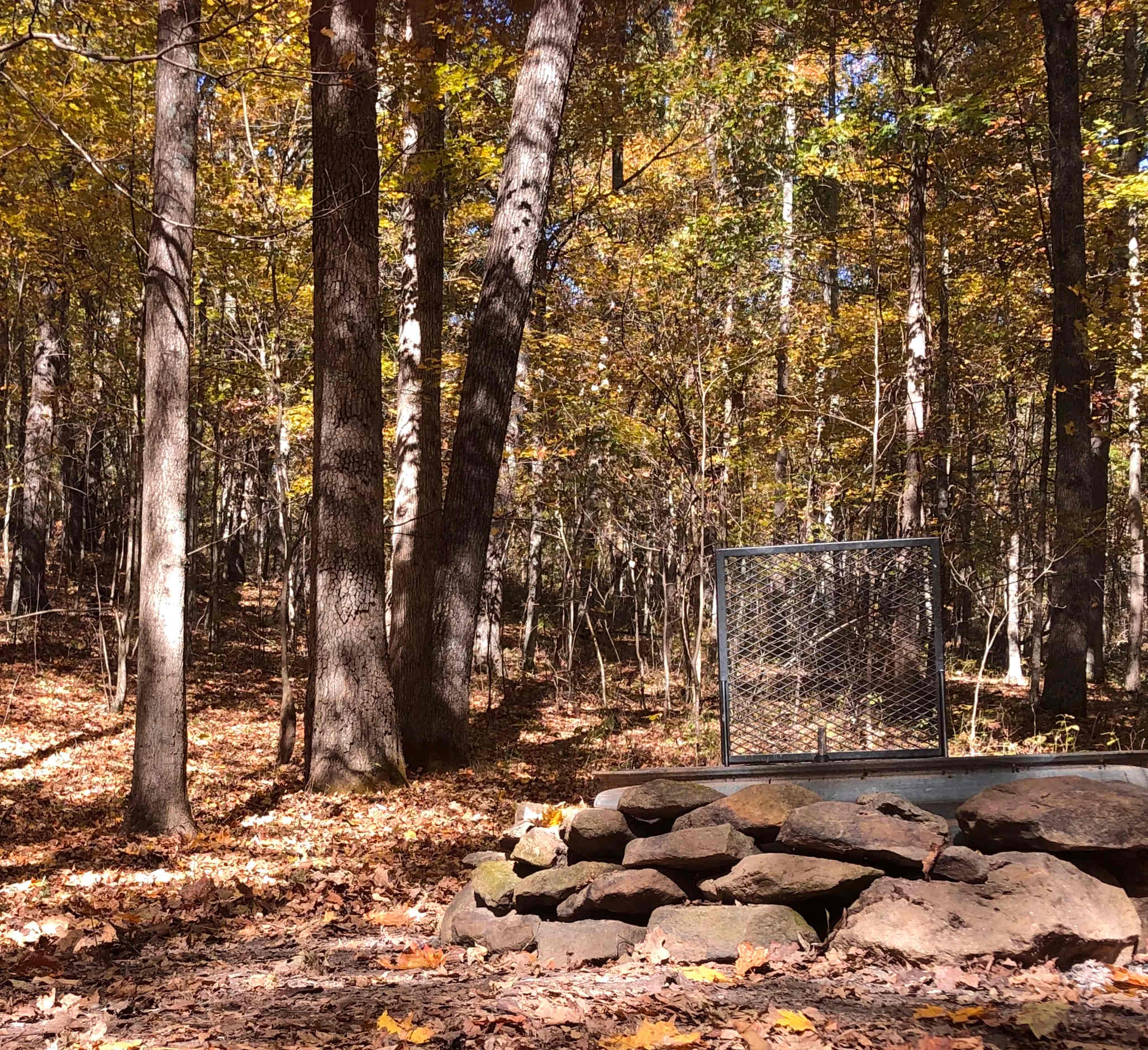 Private Forest Campsite