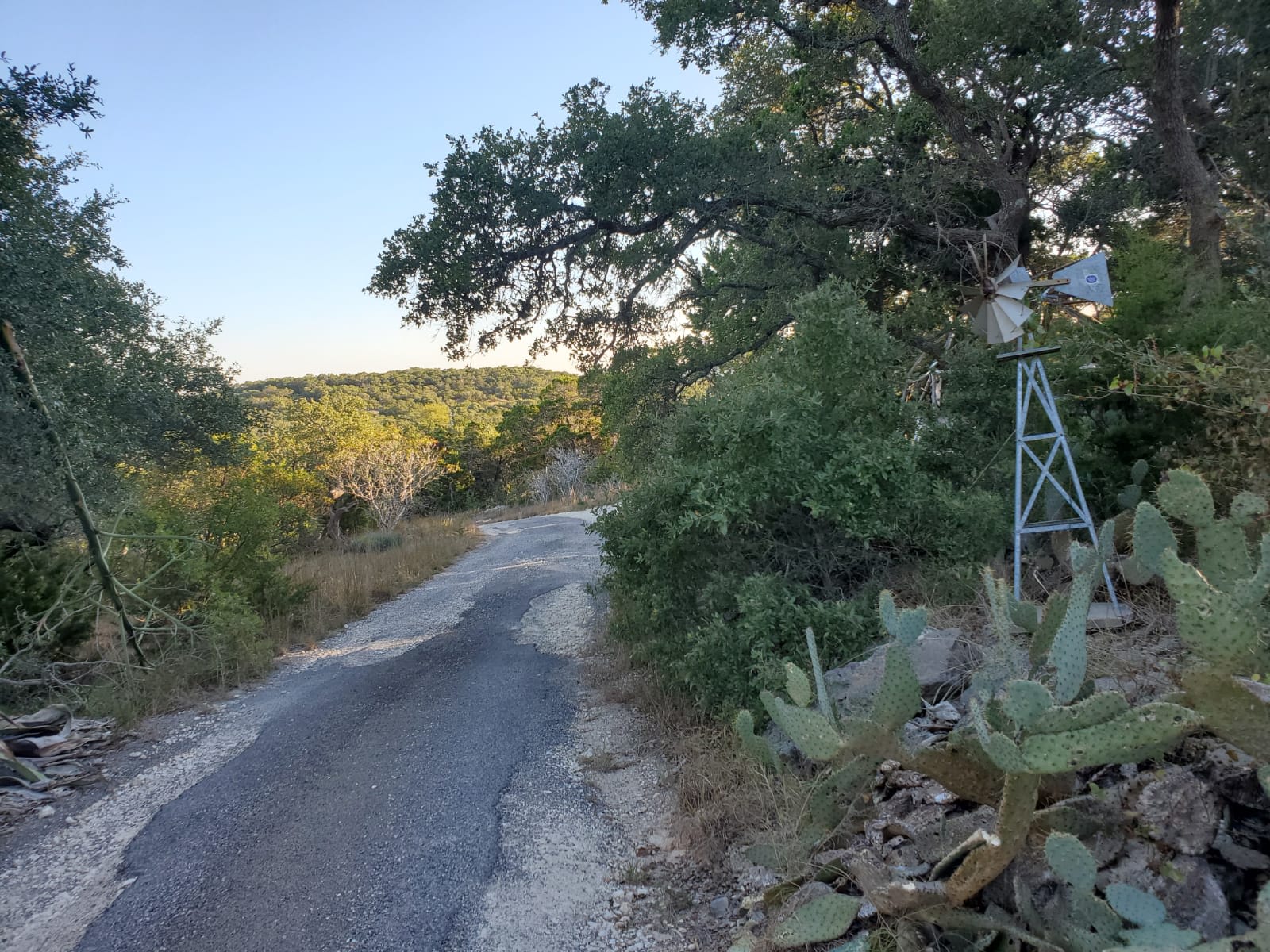 There are plenty of scenic views from our hilltop.