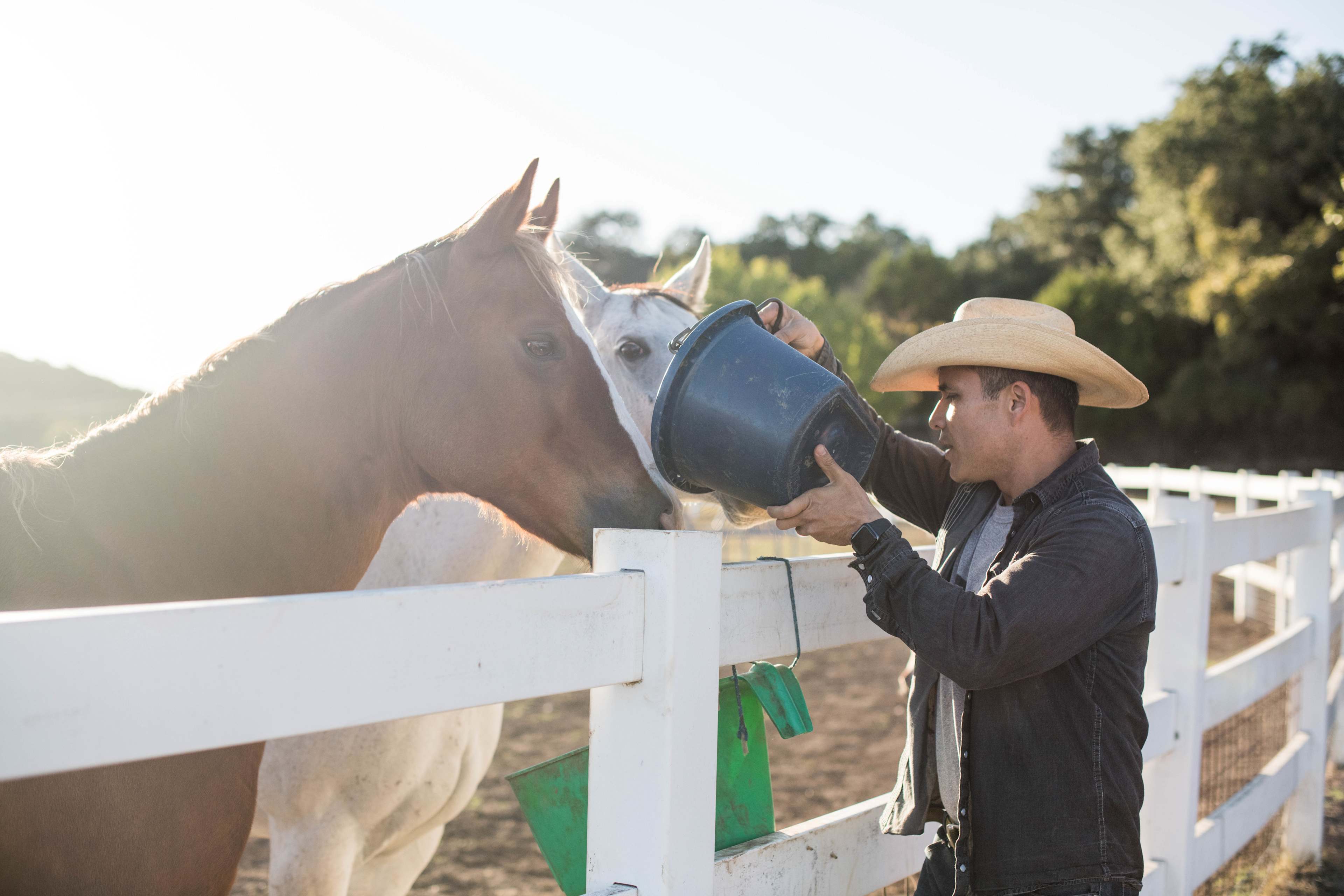 HomeAway Ranch & Wildlife Preserve