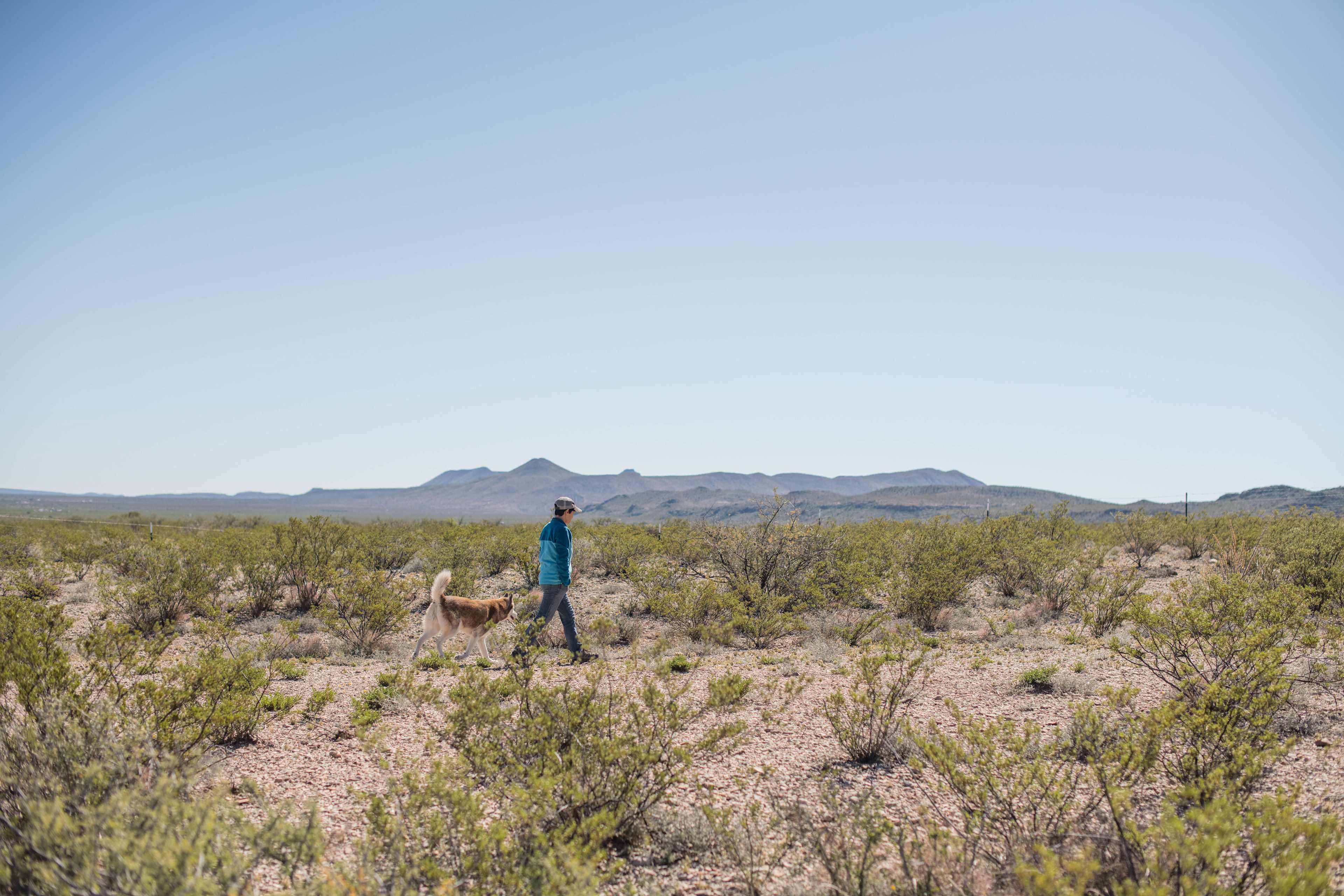Beautiful desert in every direction to explore!