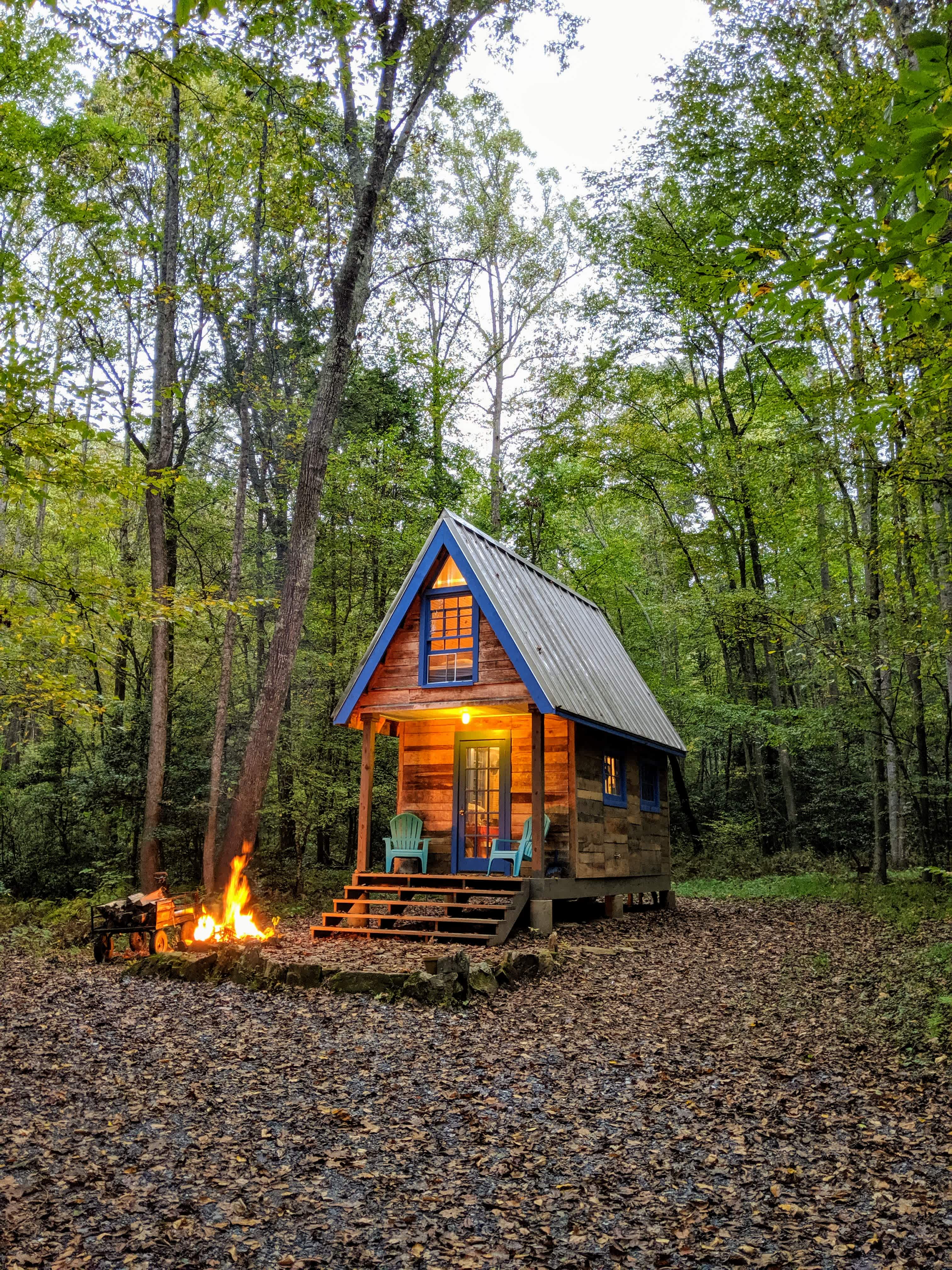 Private woods located in the Ripshin Mountains
