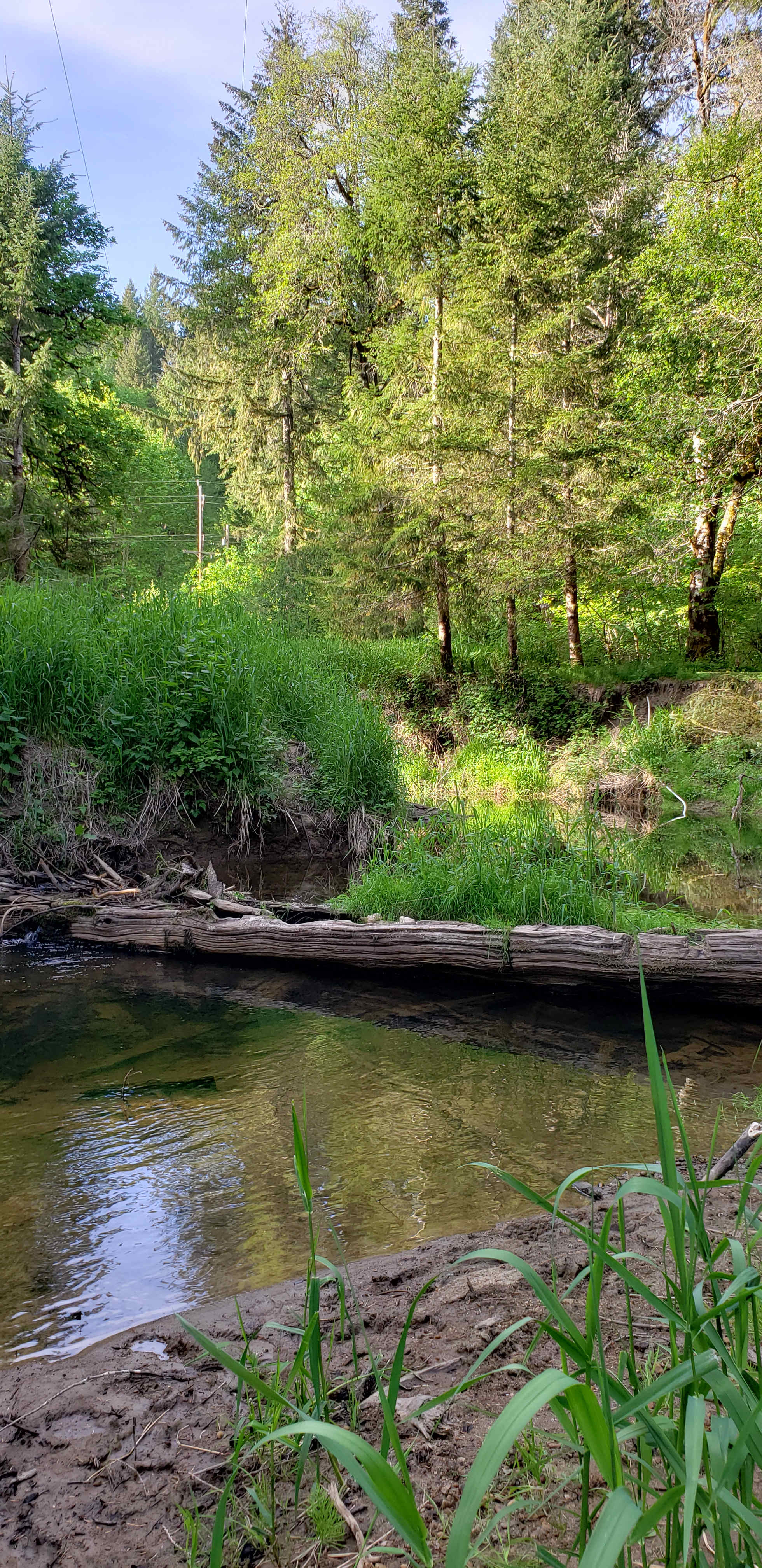 Camp Chapman - Hipcamp in Scappoose, Oregon