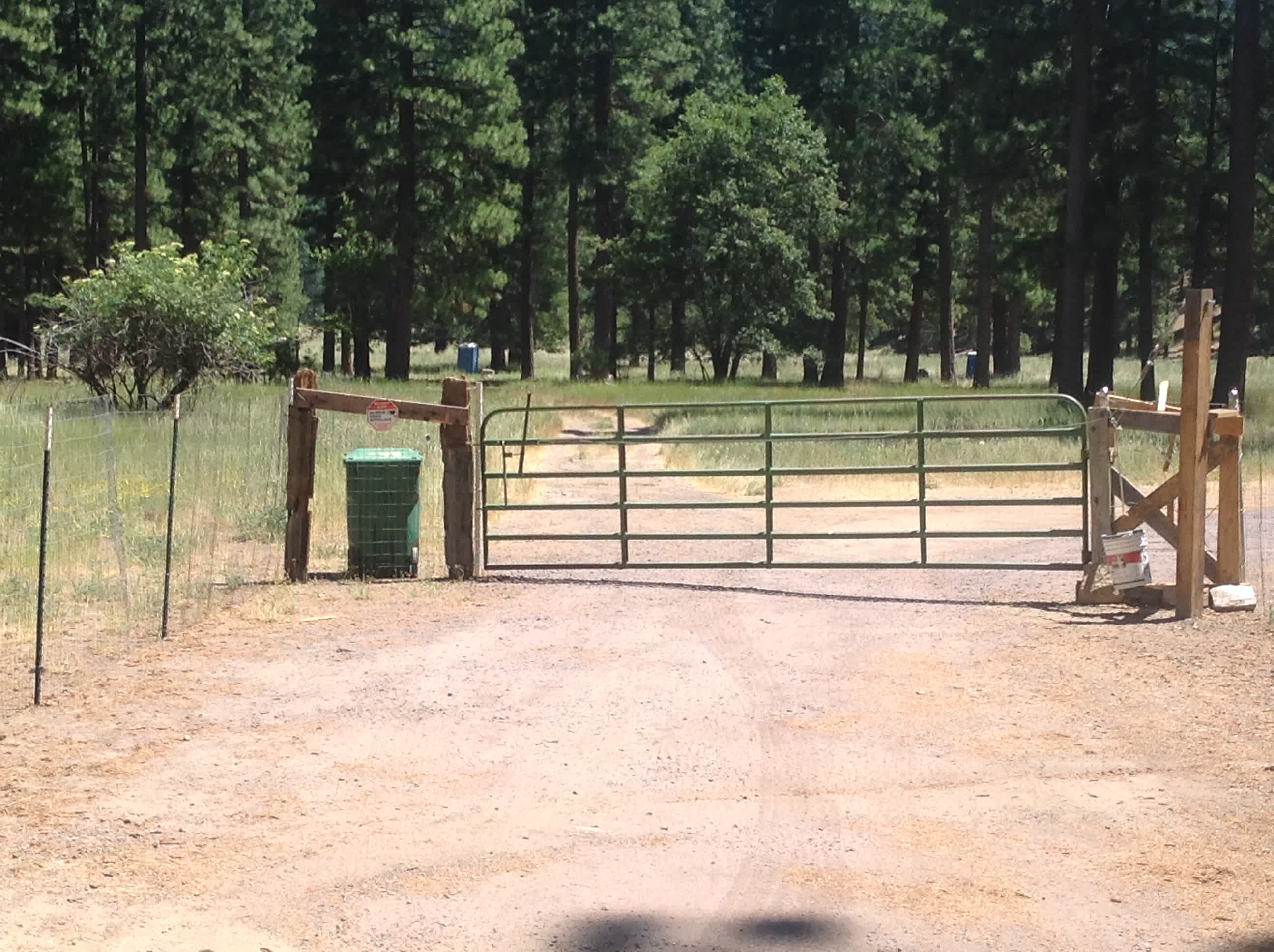Picture of the site