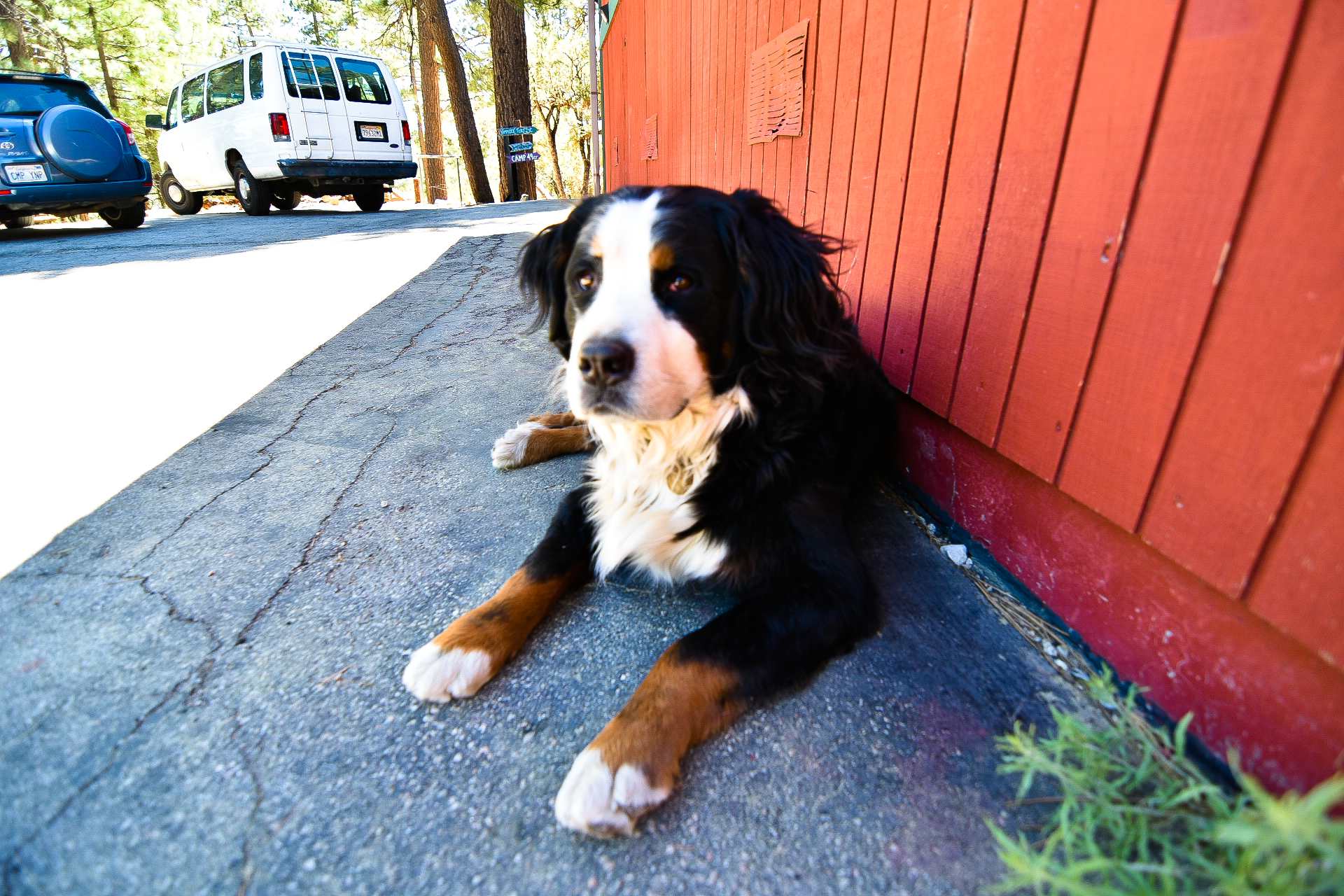 ITH Big Bear Mountain Hostel