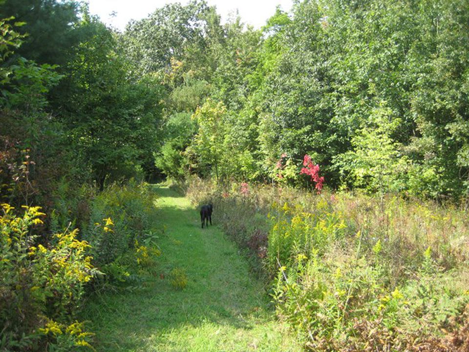 Whitetail Ridge Farm
