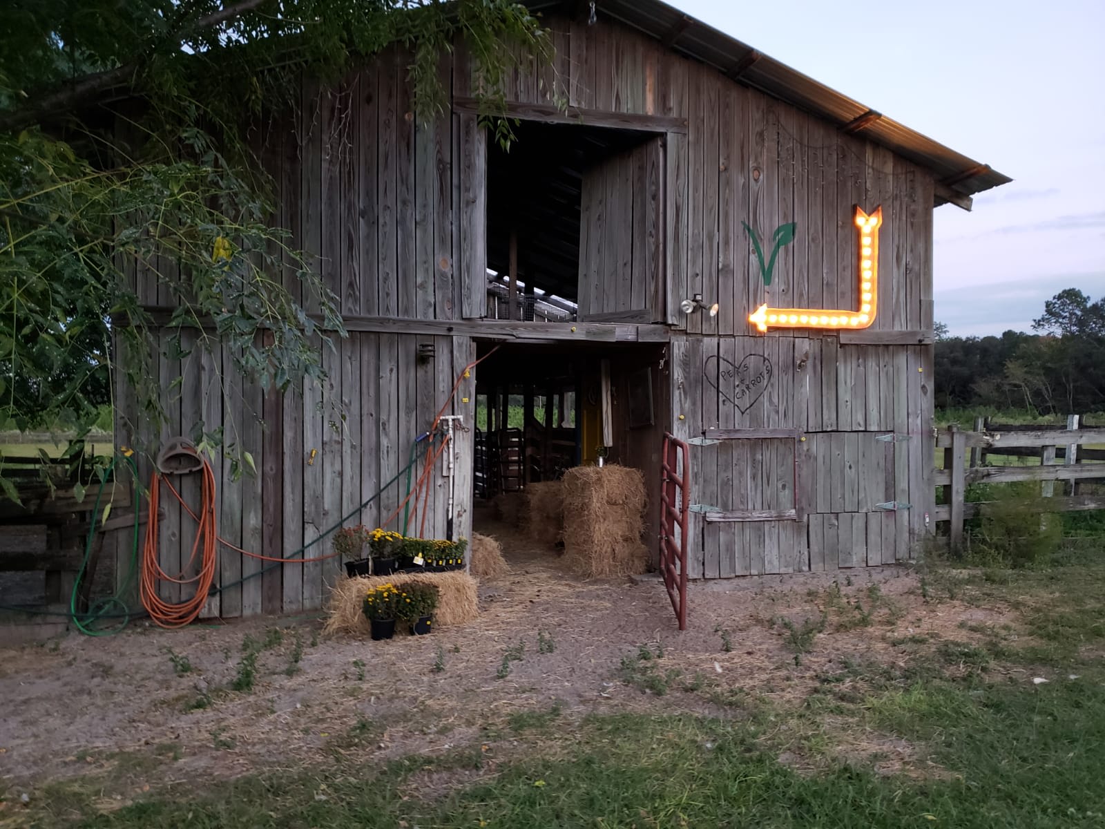 Picture of the site