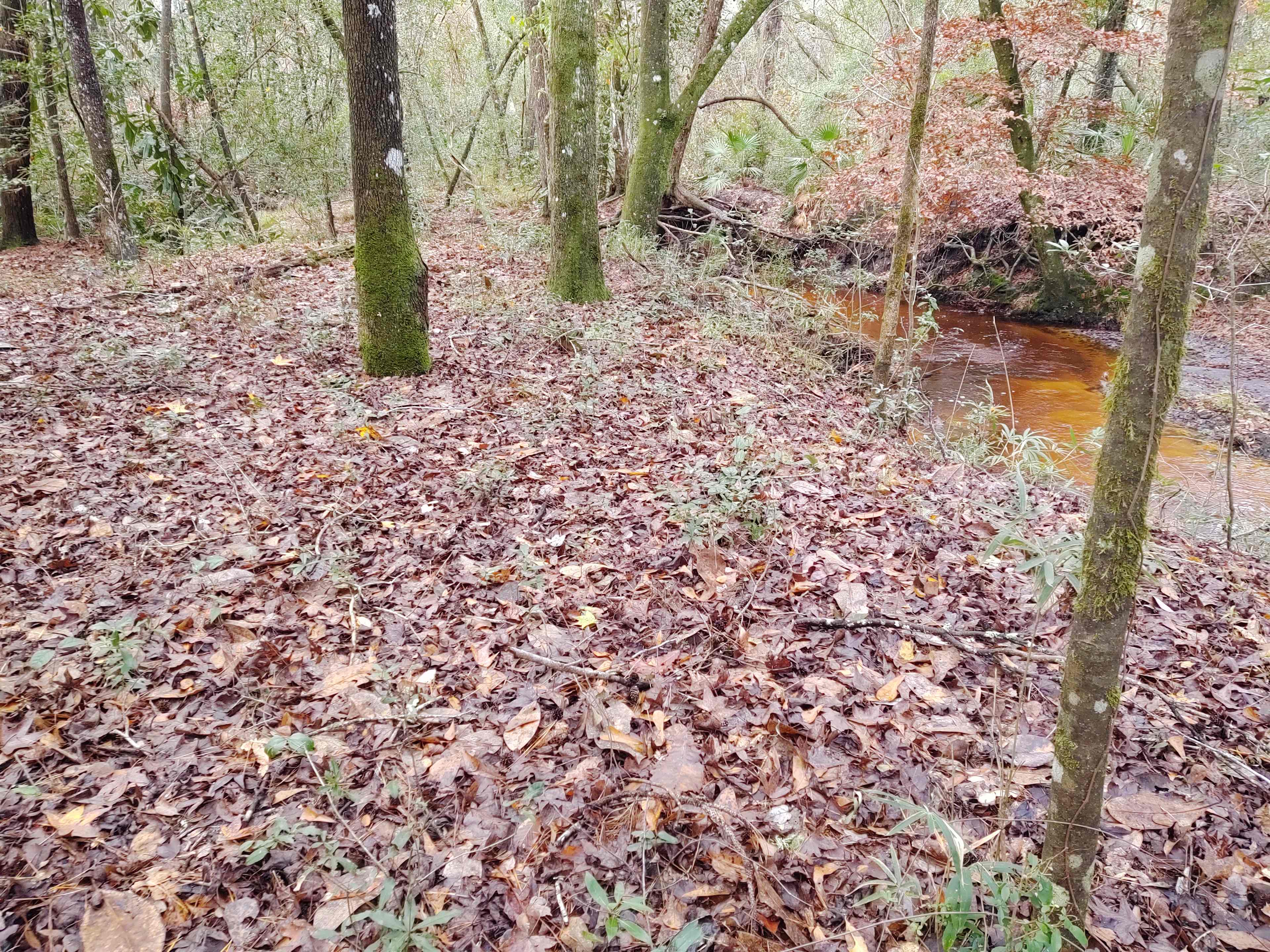 A secluded spot for a tent!