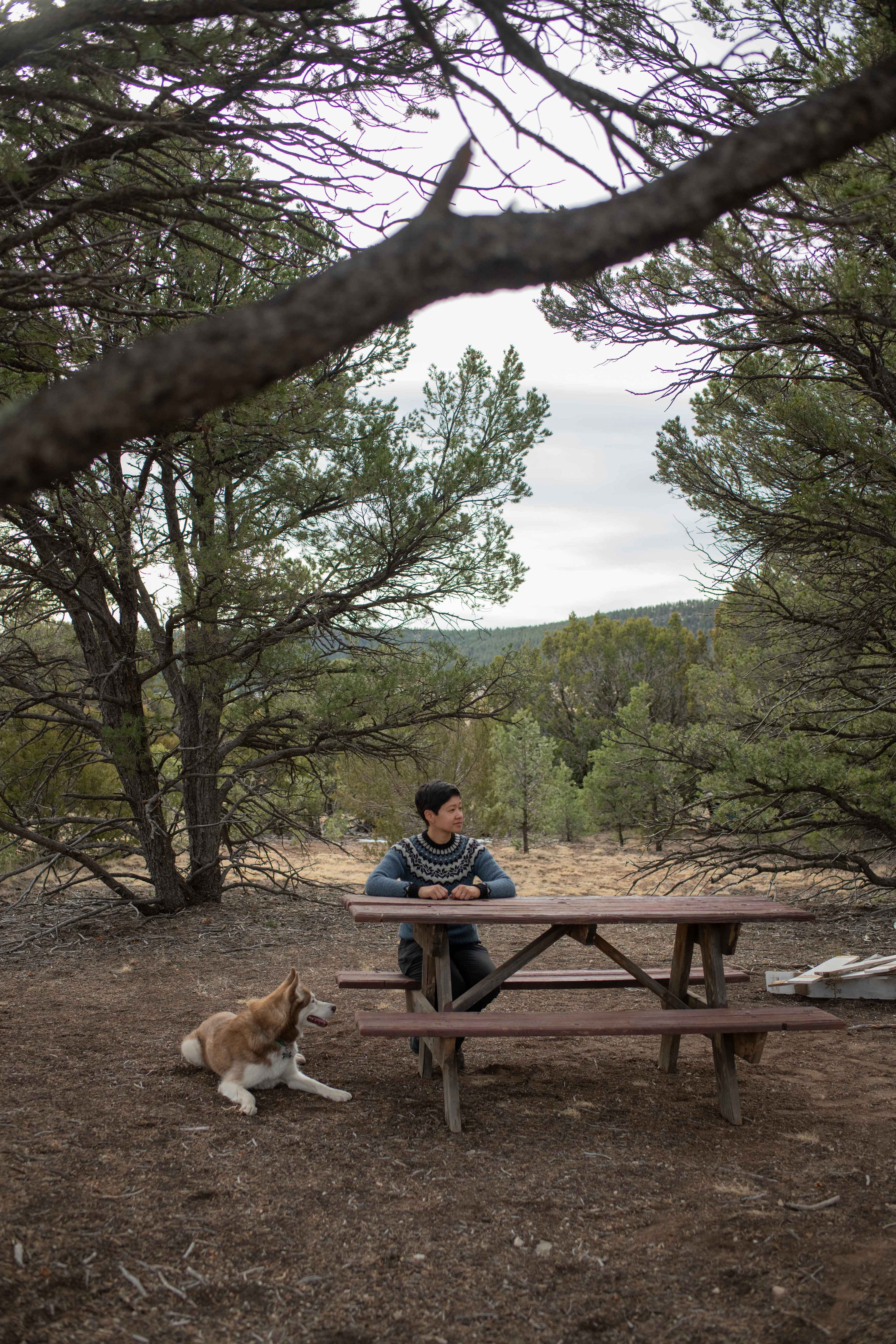 Jackalope Ranch