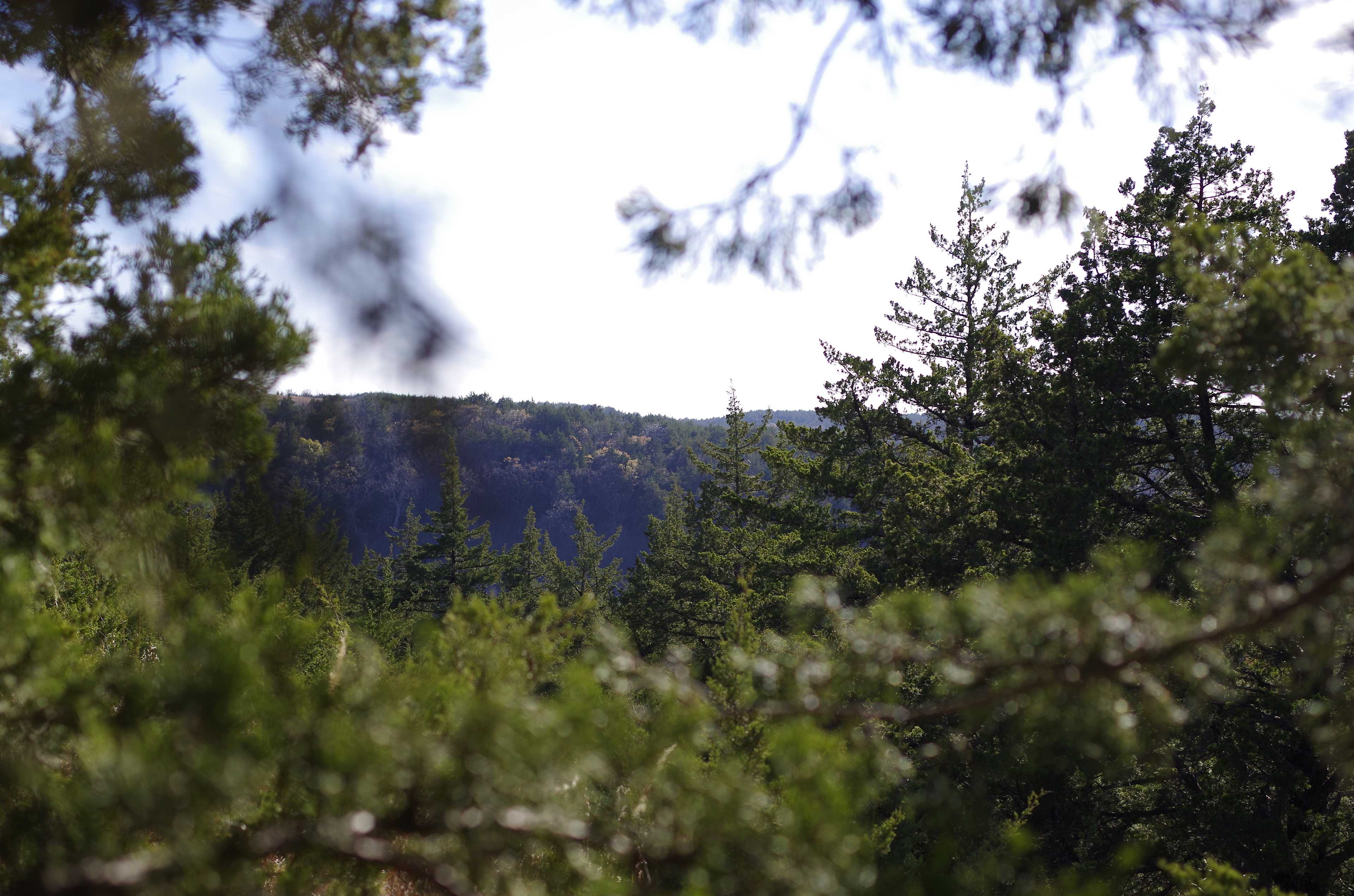 Blue Vista KS Lakeside Getaway