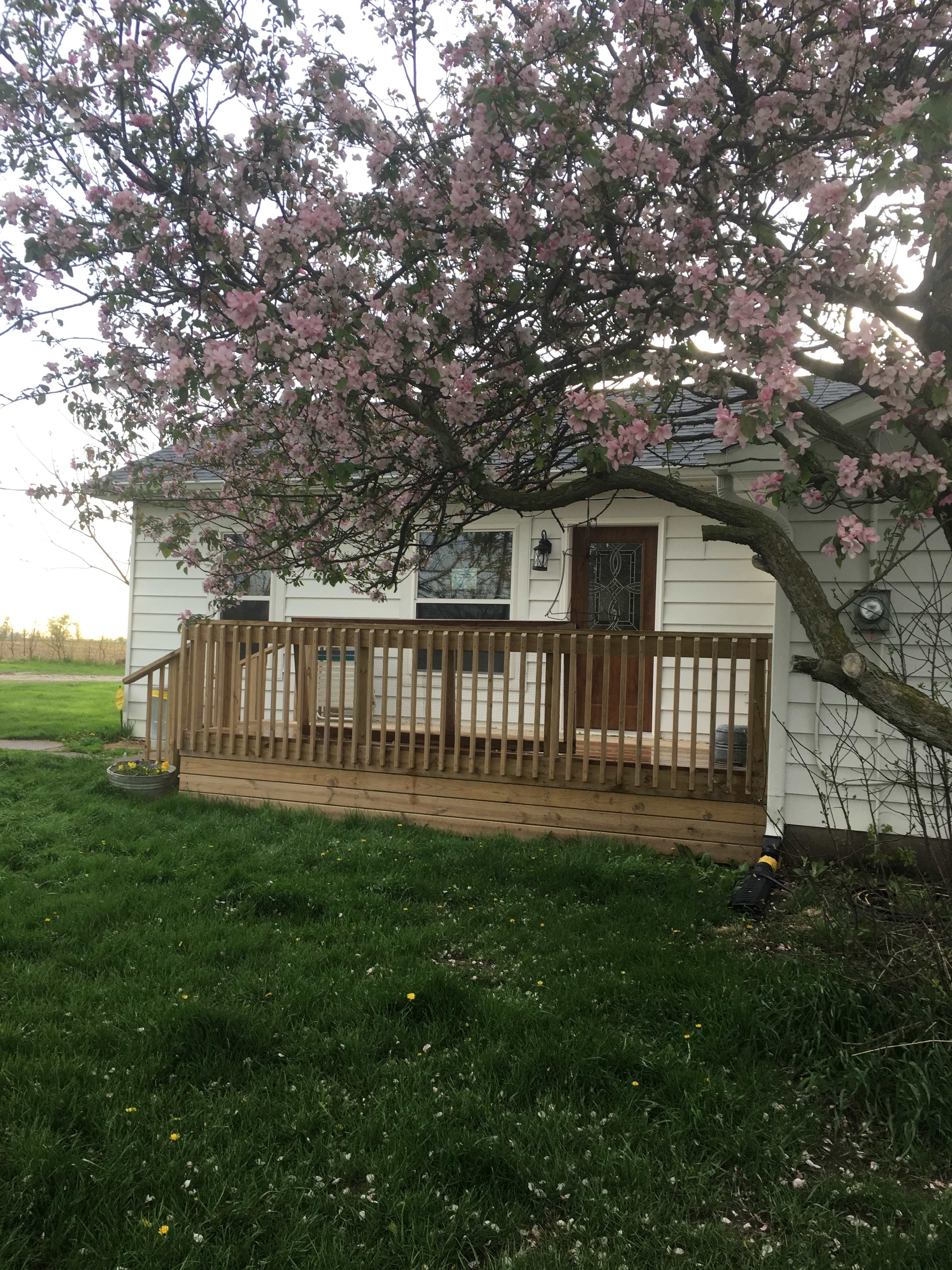 Private entry to cottage. 