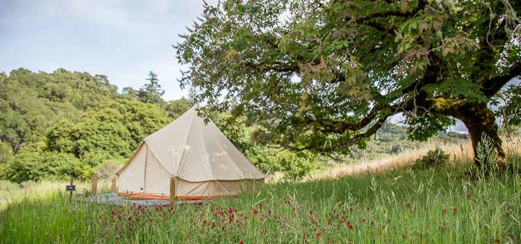 Whispertree Retreat