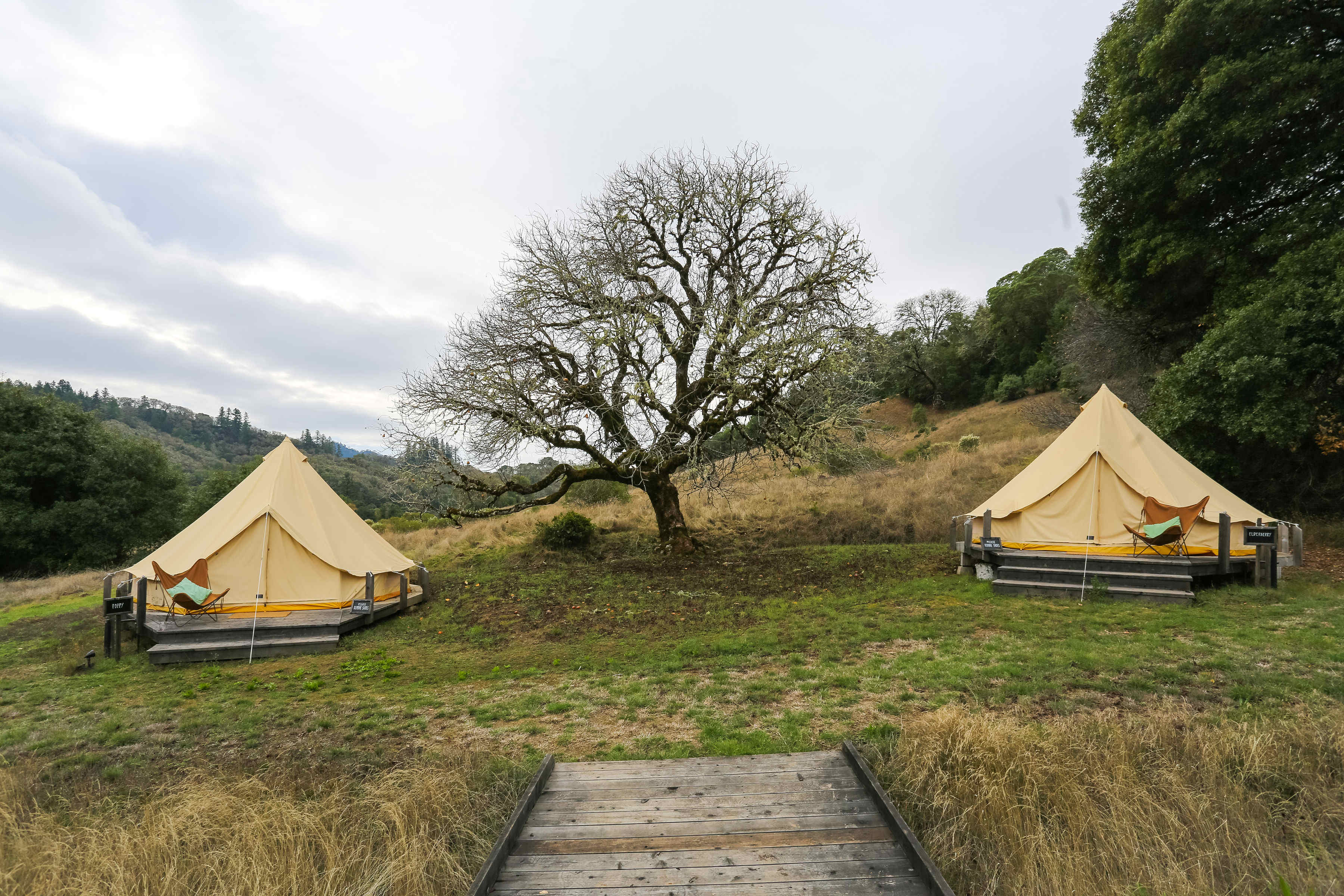 Whispertree Retreat