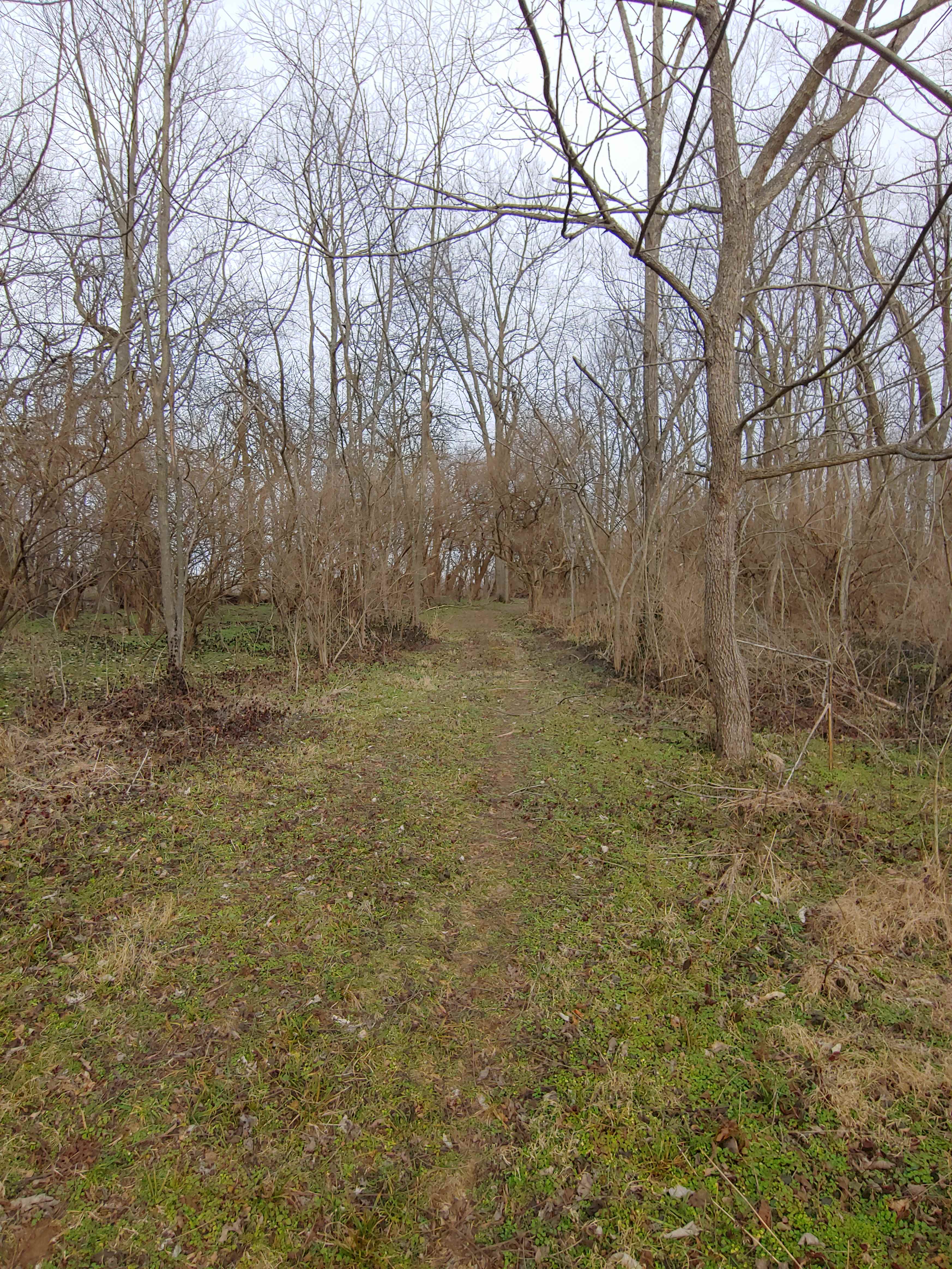 Hiking trail.