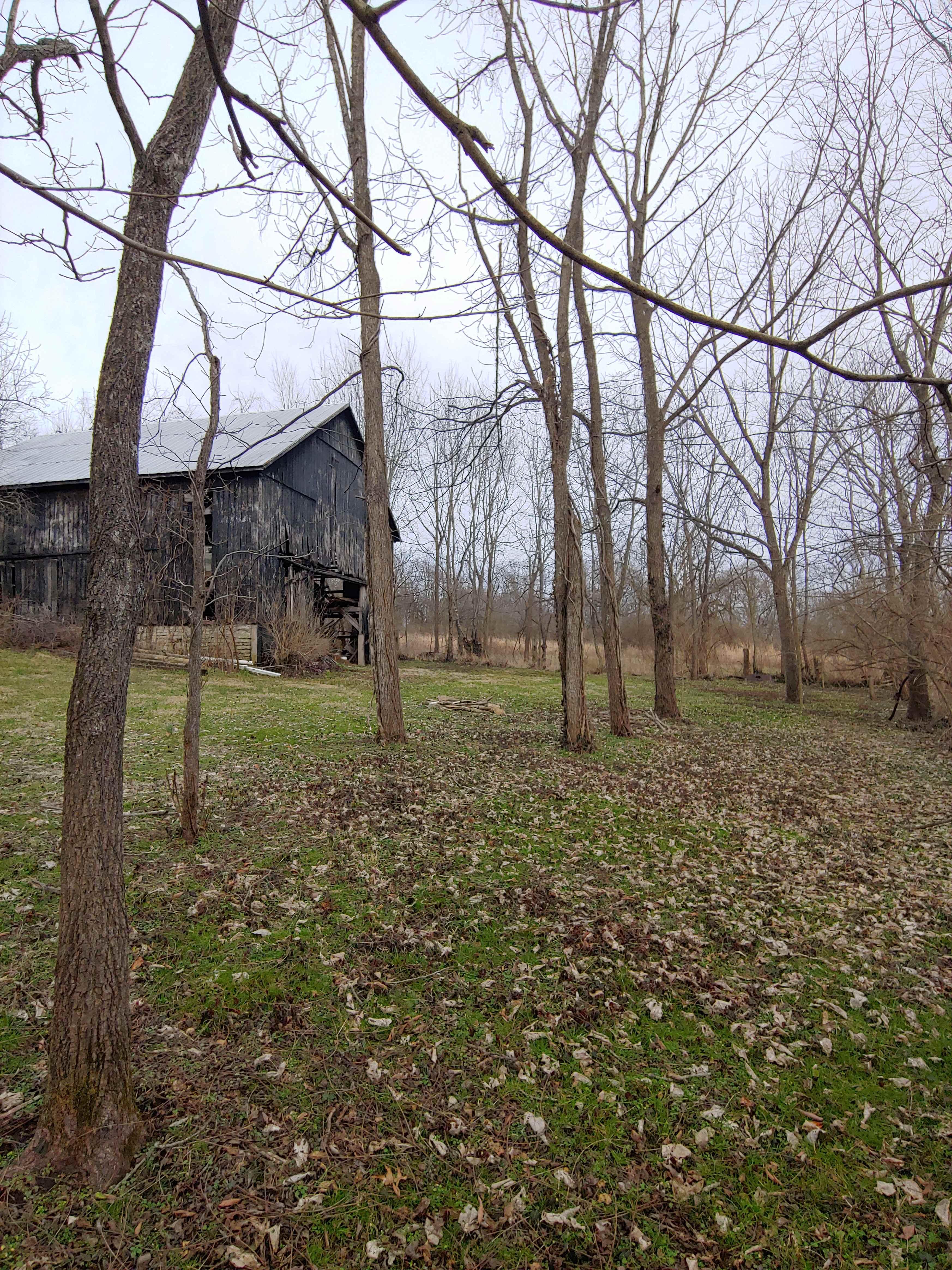 Campsite with fire ring, accessed by car or short hike. Can accommodate up to four tents, and hammocks.