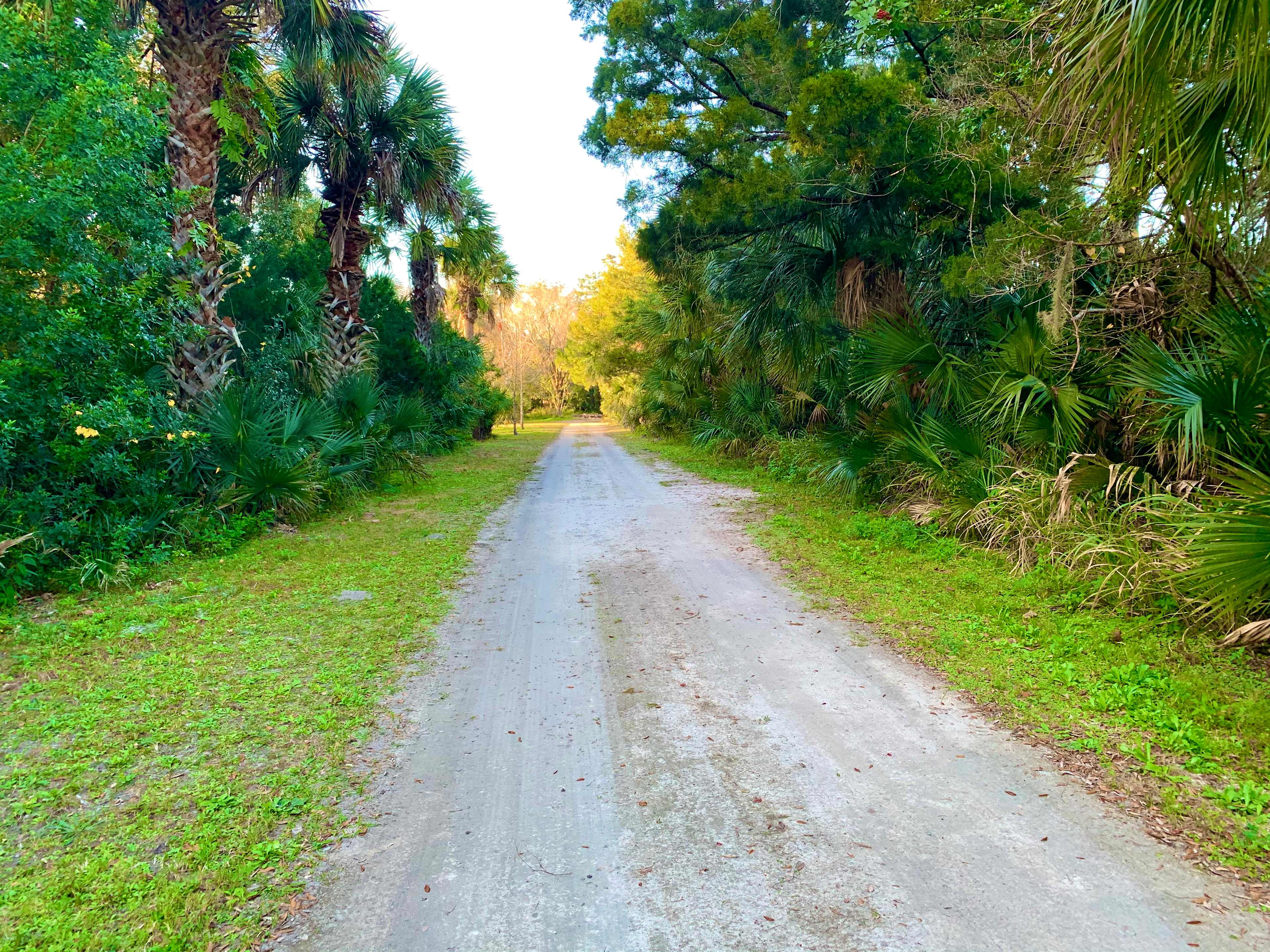 Road headed to Camp Shiloh. Destination is 1000 ft on left. 