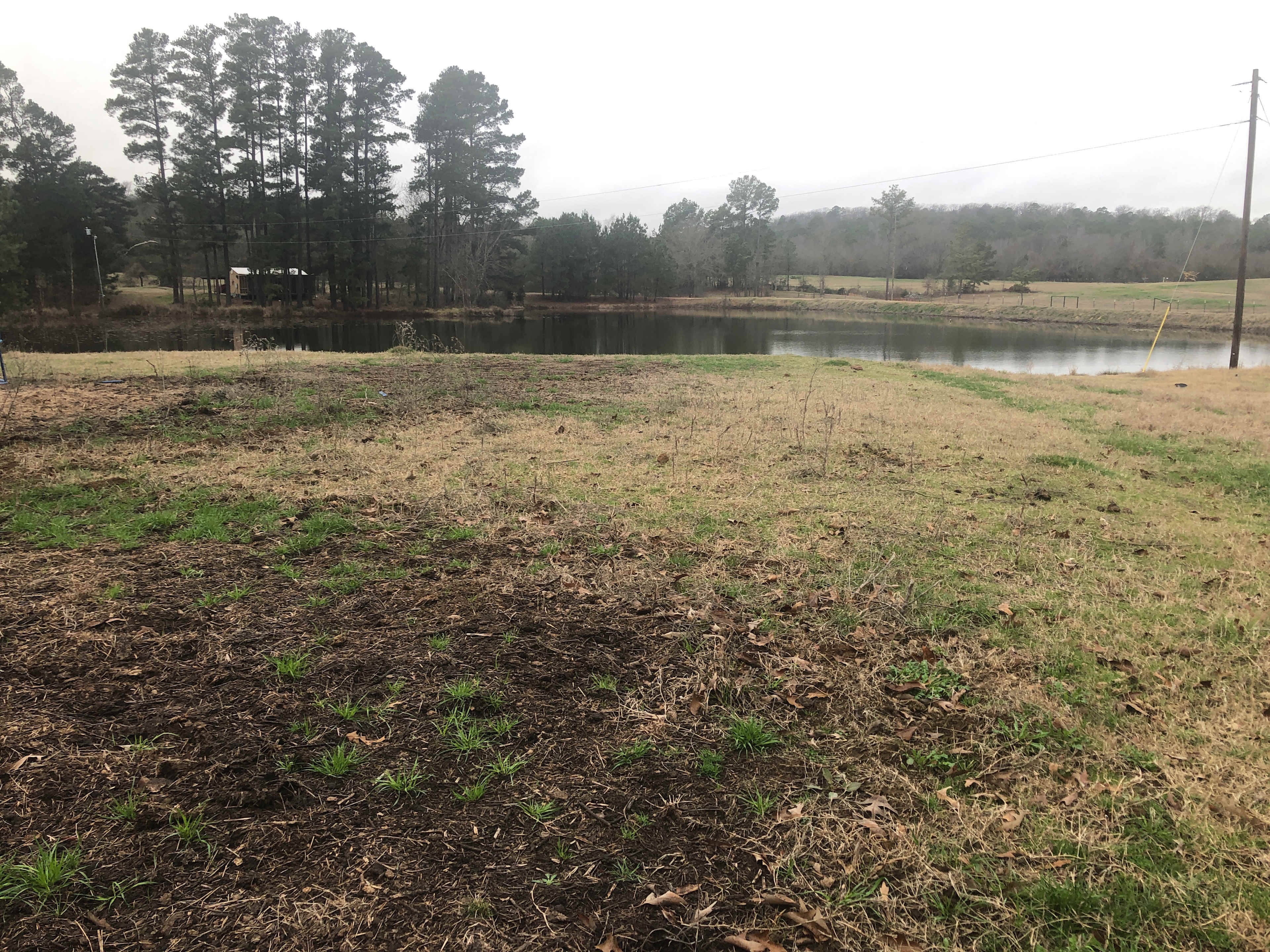 The camp site with view of the pond. The cabin in the background is not part of the package (it is occupied).
