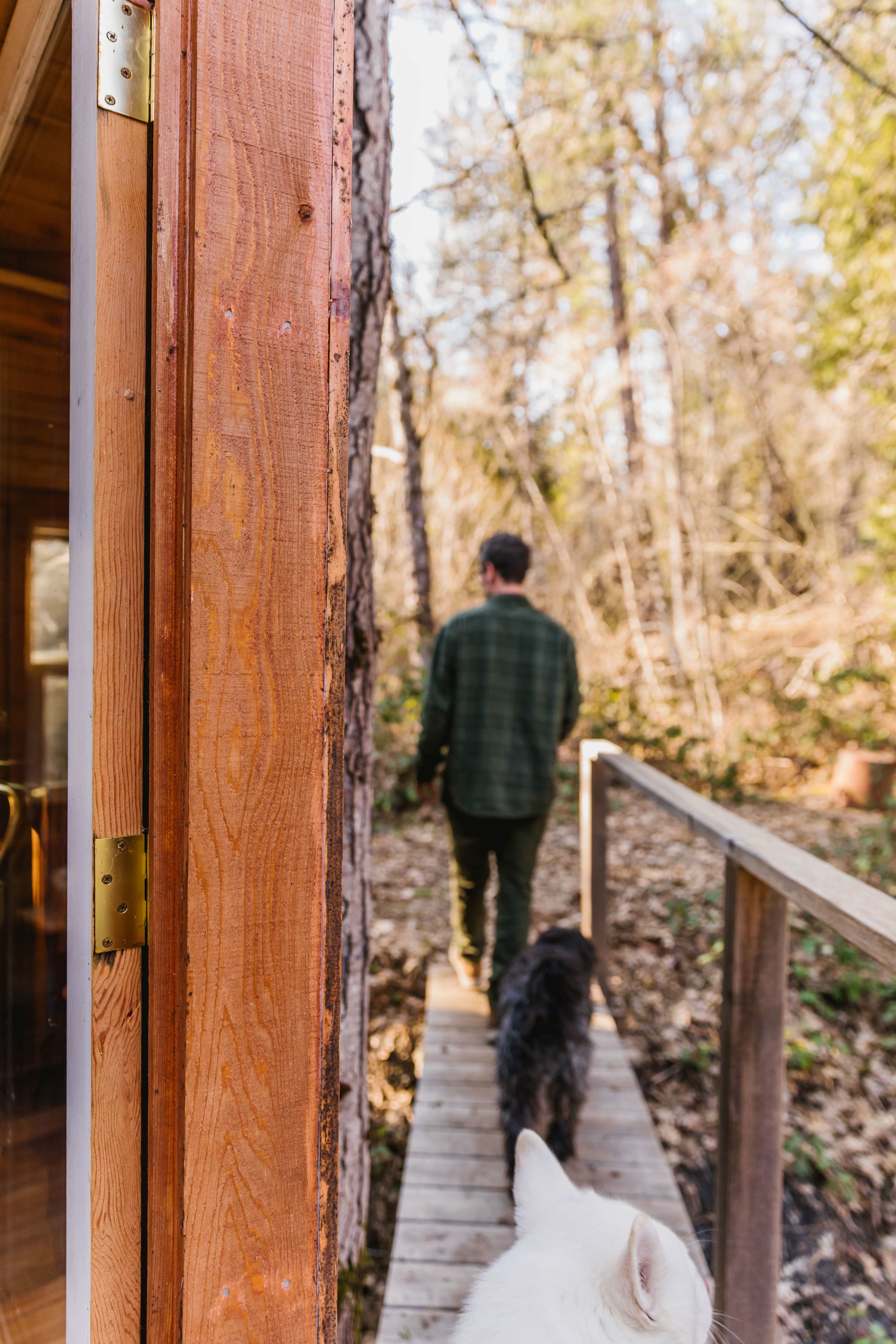 Frolic Pond Cabin