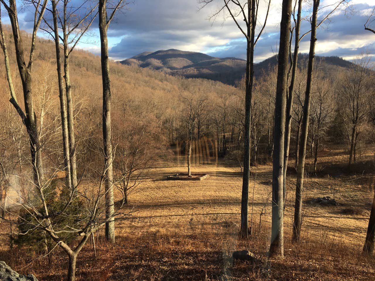 Michael K.’s Land