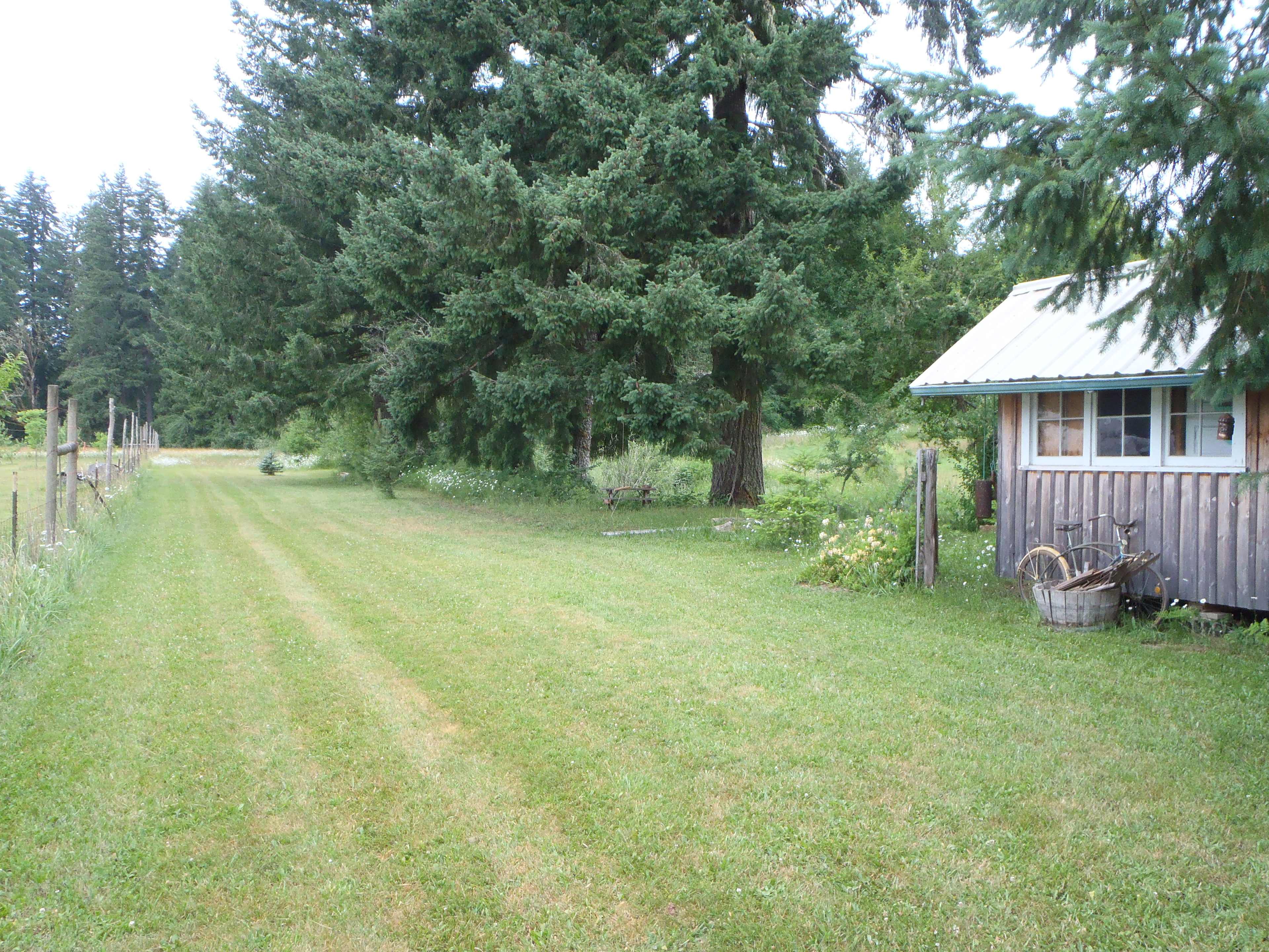 This is the "lane" heading out towards the campsites.  Ask us about firing up the sauna for you!