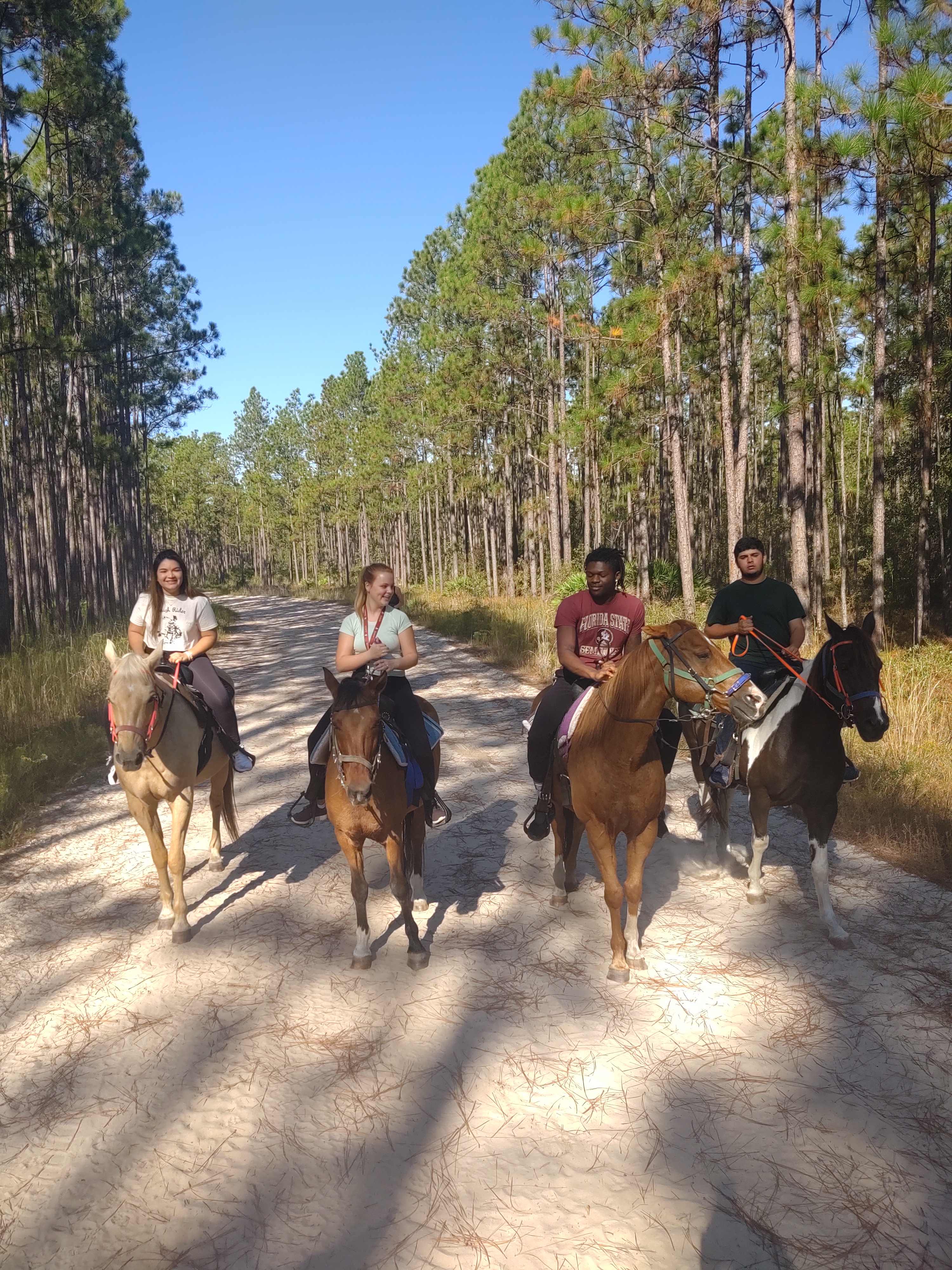 Crazy 8 Ranch & 4 Steps Horse Rescue