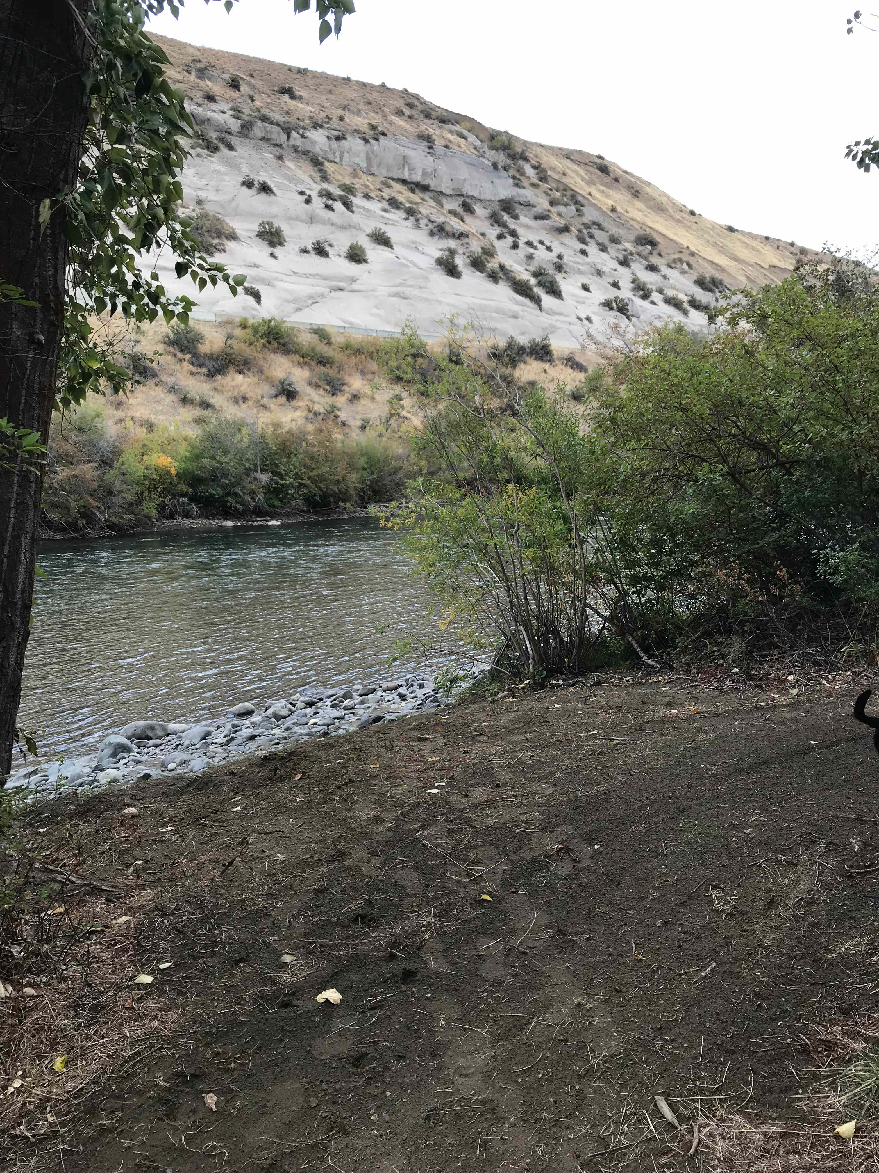Picture of the site