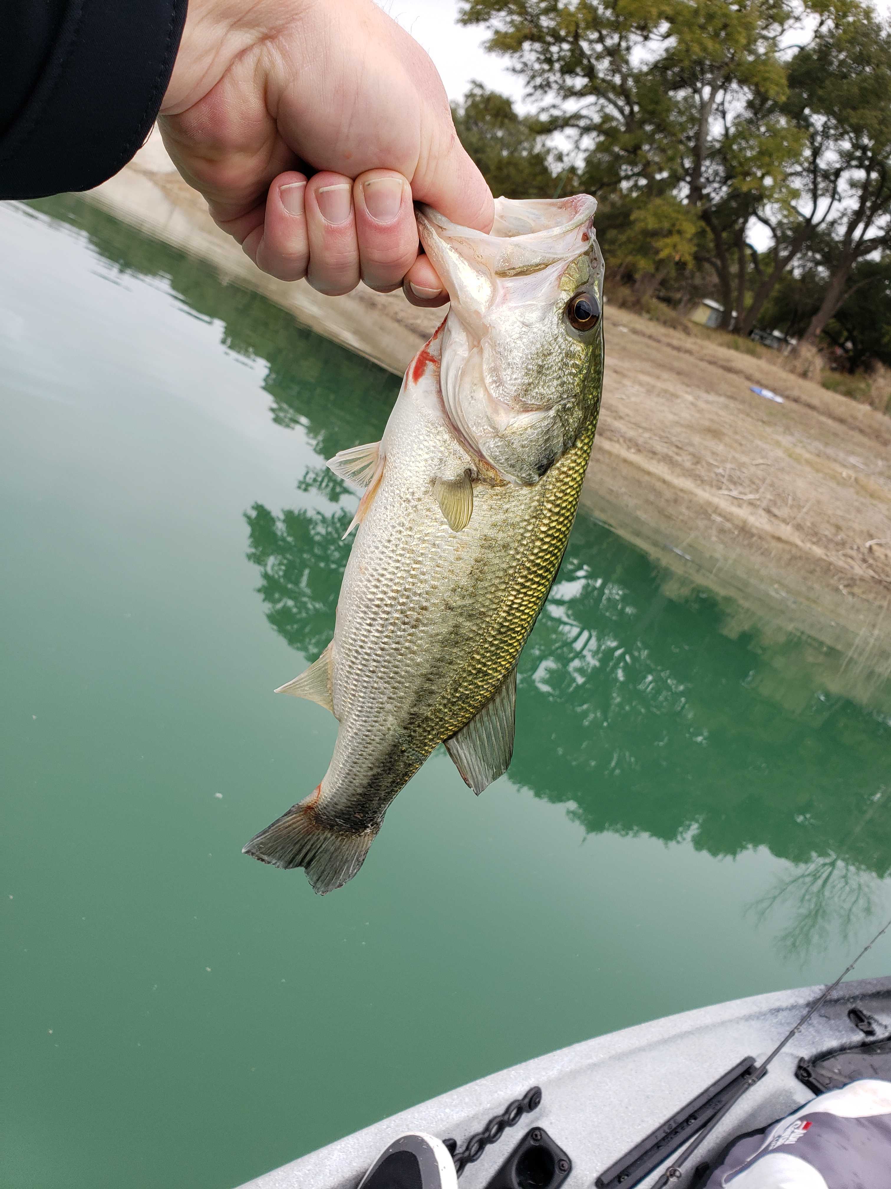 Caught a few!