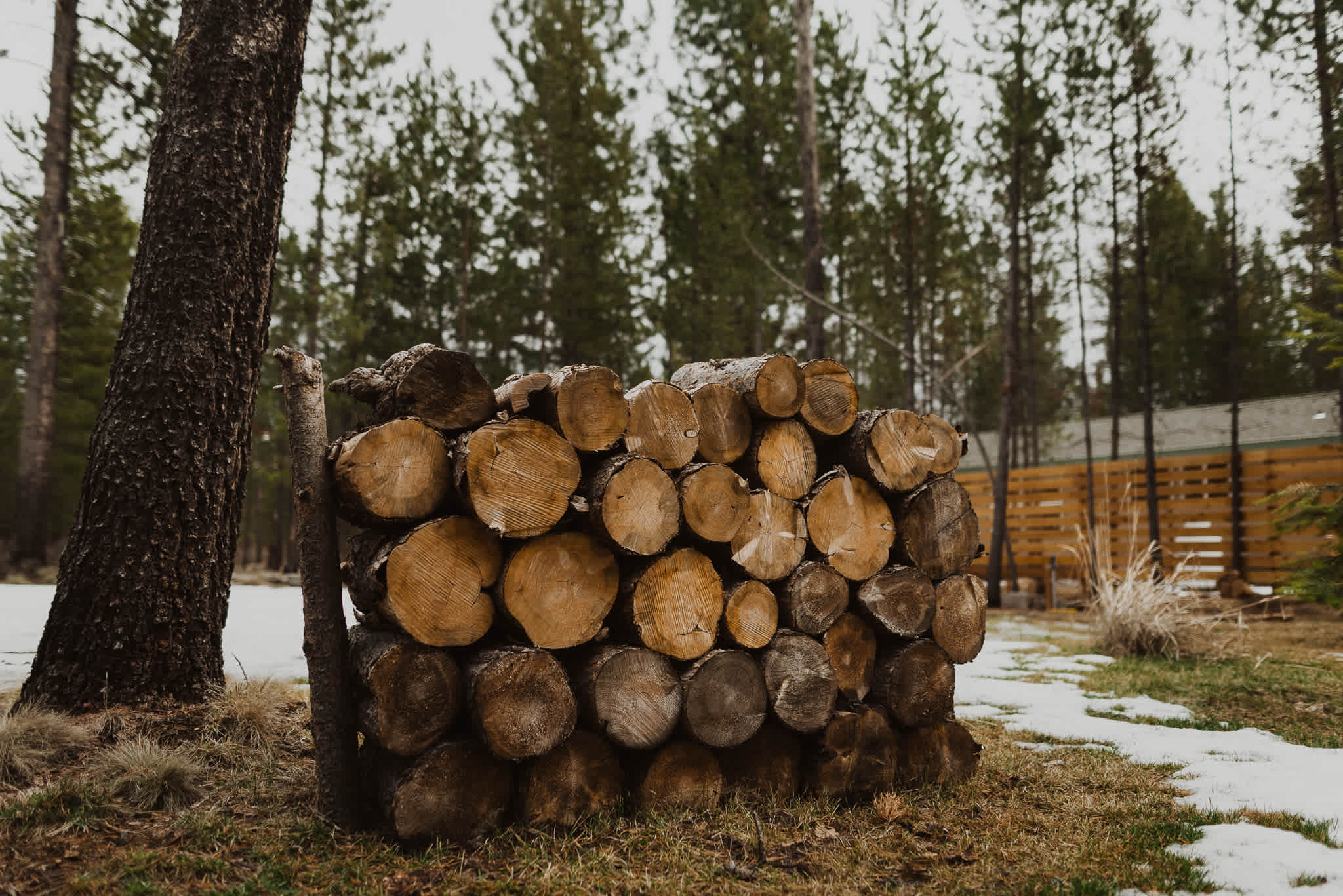 Plenty of wood piles on site.