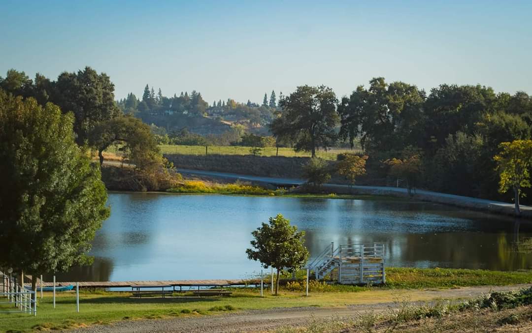 The lake in the summer