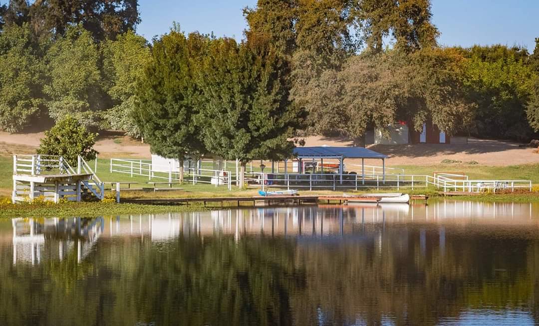 The picnic area near the lake, in the summer.